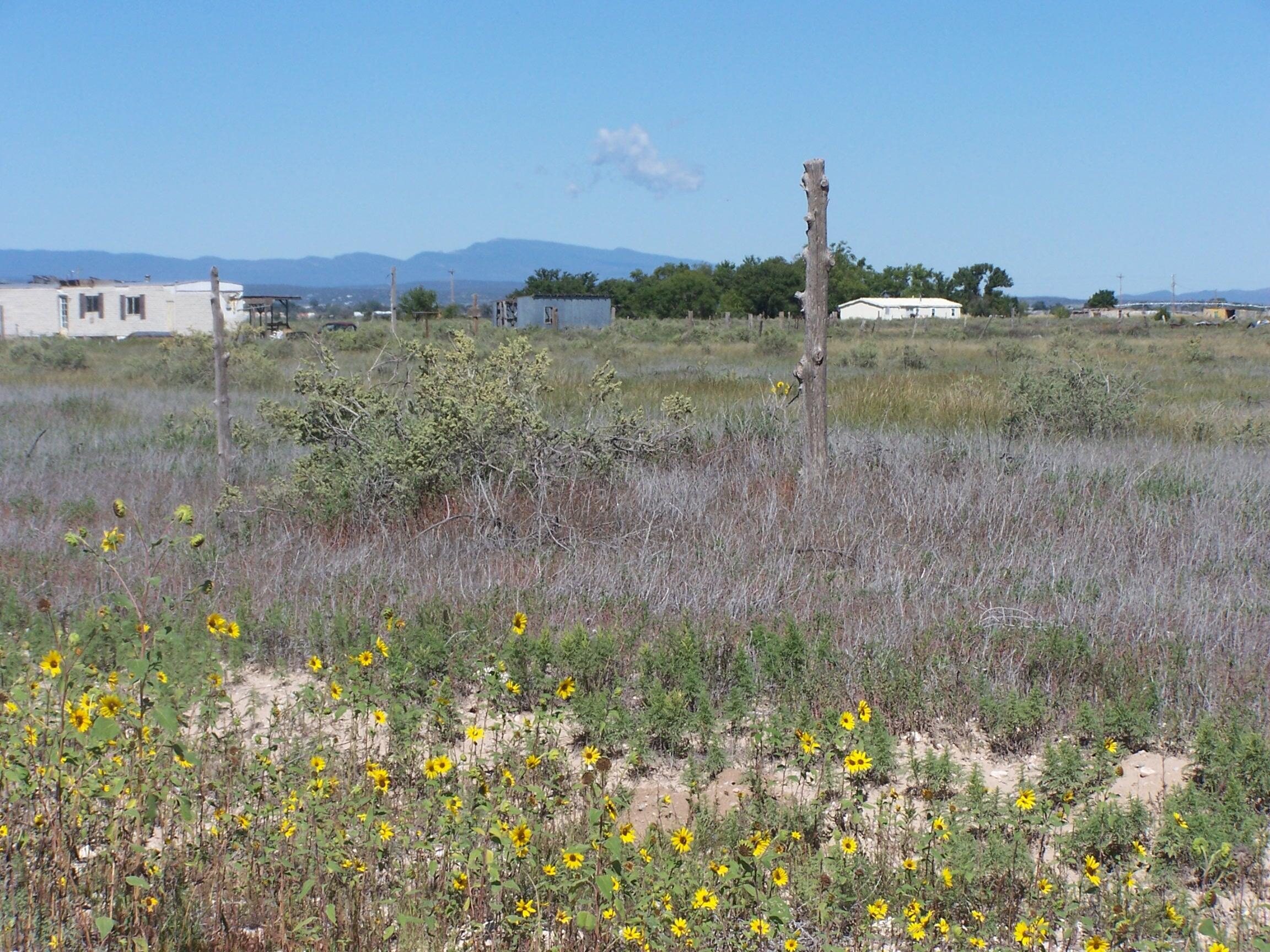Homes for sale in Mc Intosh, NM | Calle Del Sol, Mc Intosh, NM 87032 | MLS# 1089475