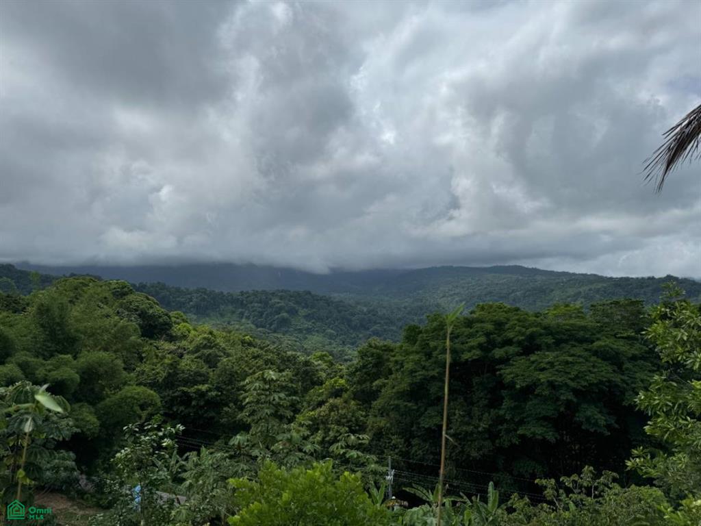 0 bed Land For Sale in Perez Zeledon, San Jose - 1