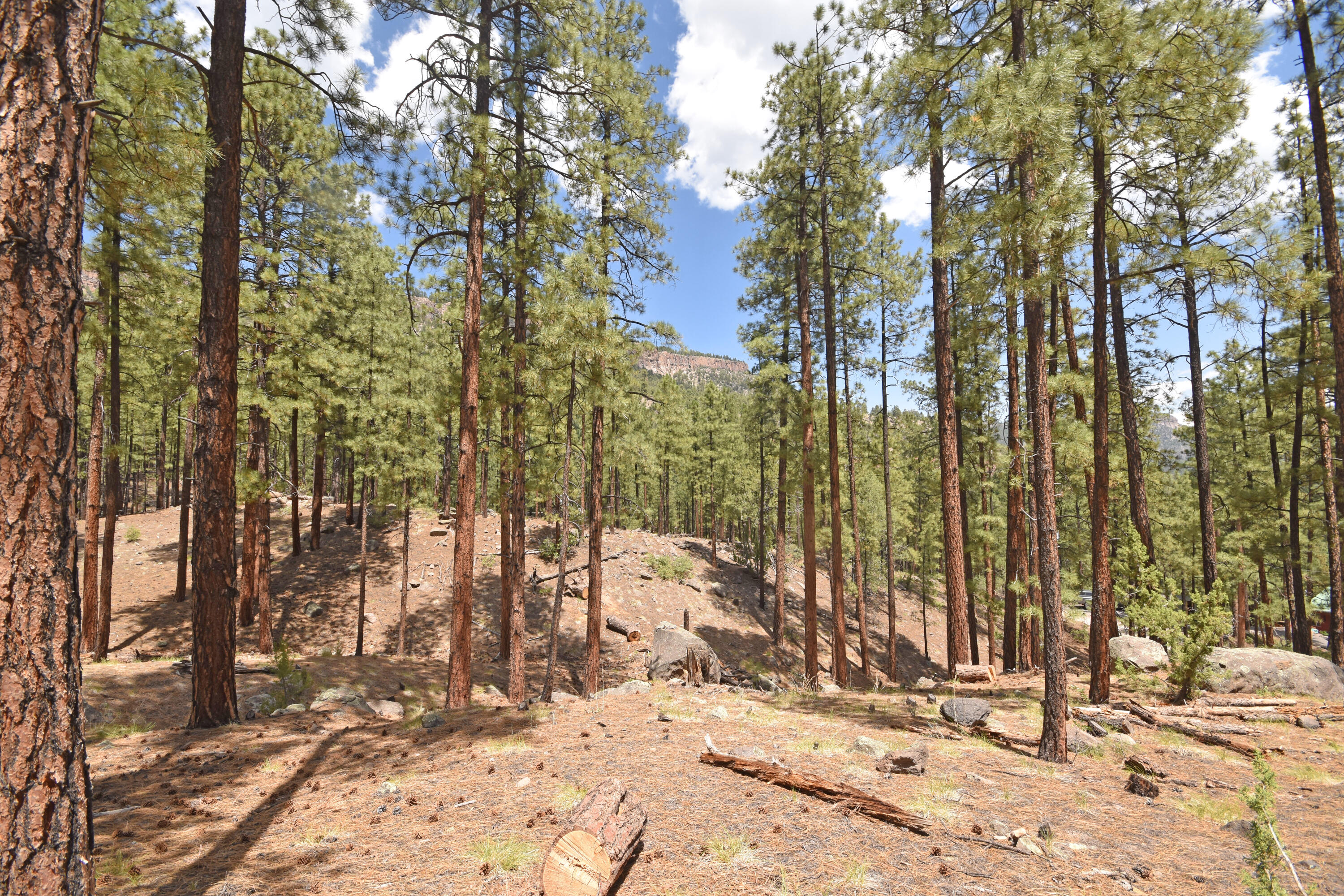 Lot 6A Cool Pines