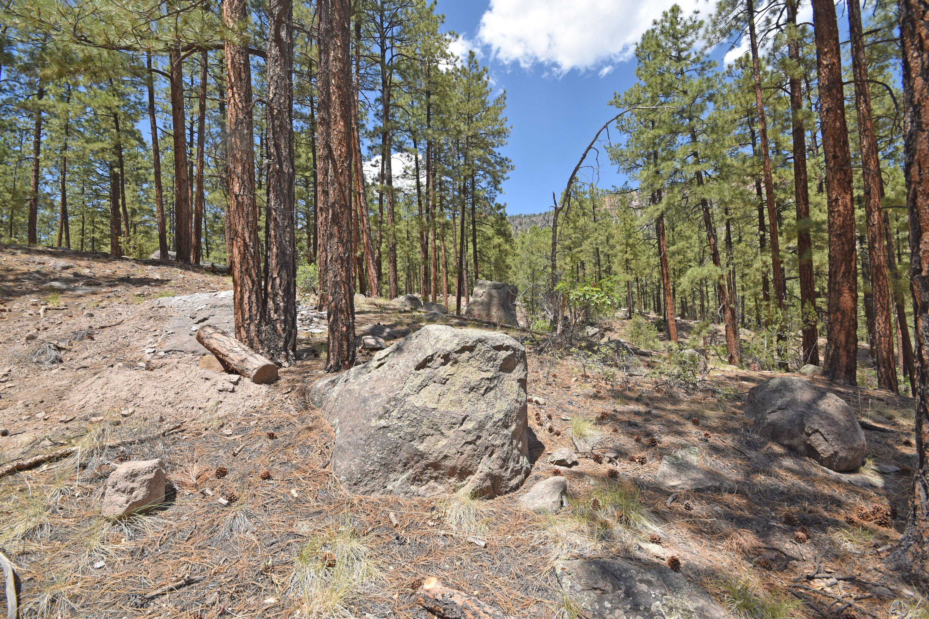 Homes for sale in Jemez Springs, NM | Lot 6a Cool Pines, Jemez Springs, NM 87025 | MLS# 1089563