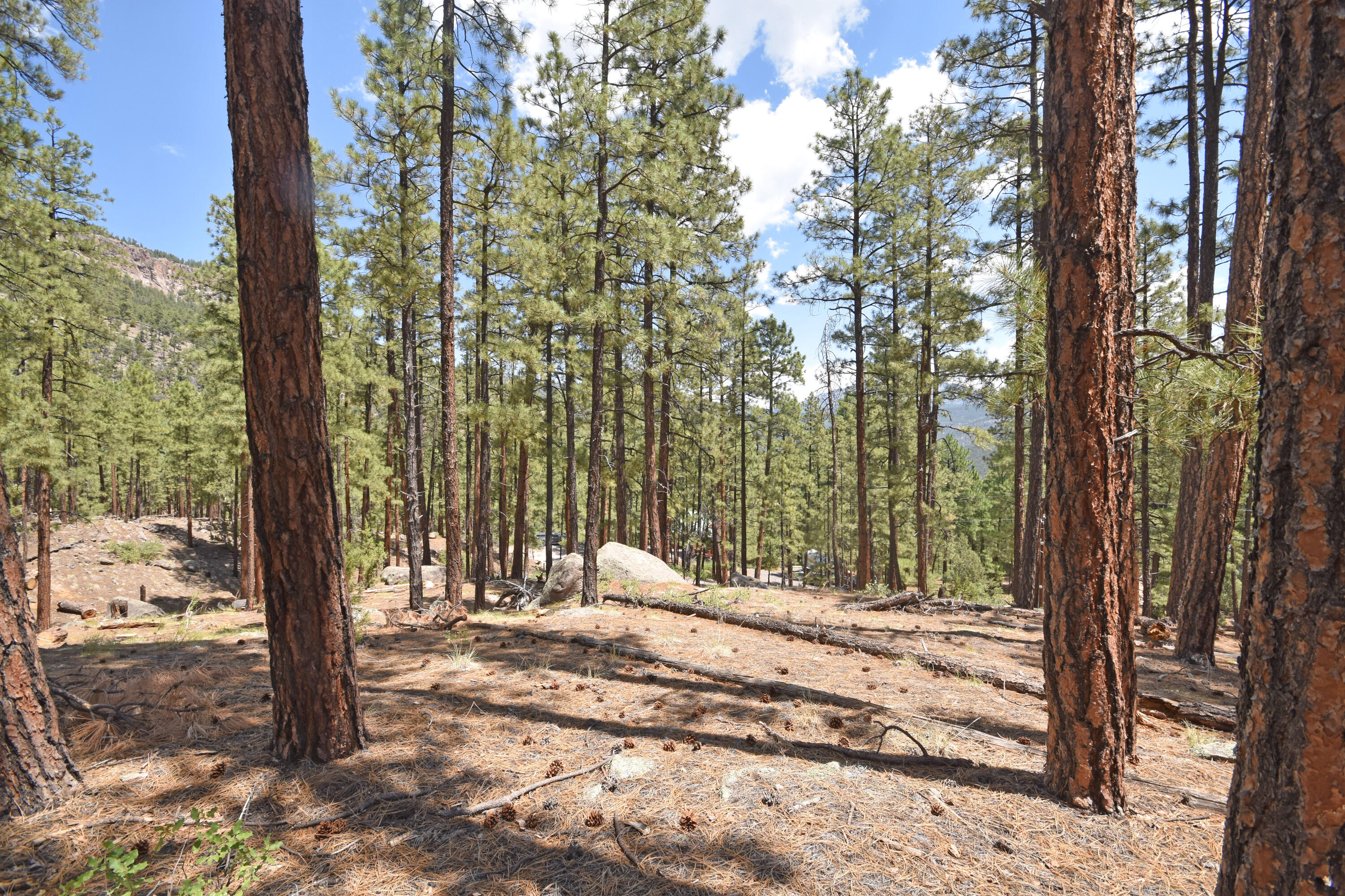 Homes for sale in Jemez Springs, NM | Lot 6a Cool Pines, Jemez Springs, NM 87025 | MLS# 1089563