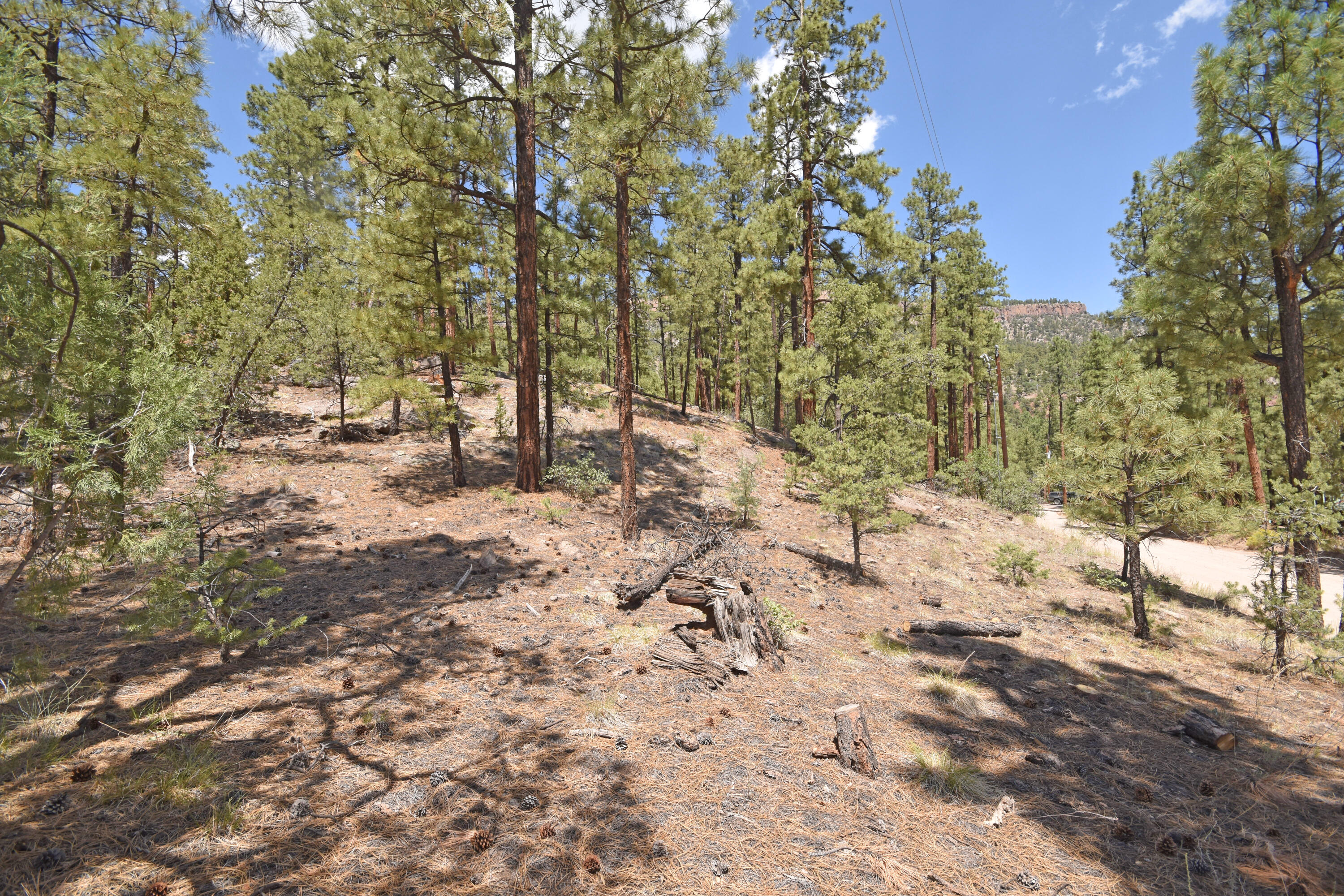 Homes for sale in Jemez Springs, NM | Lot 6A Cool Pines, Jemez Springs, NM 87025 | MLS# 1089563