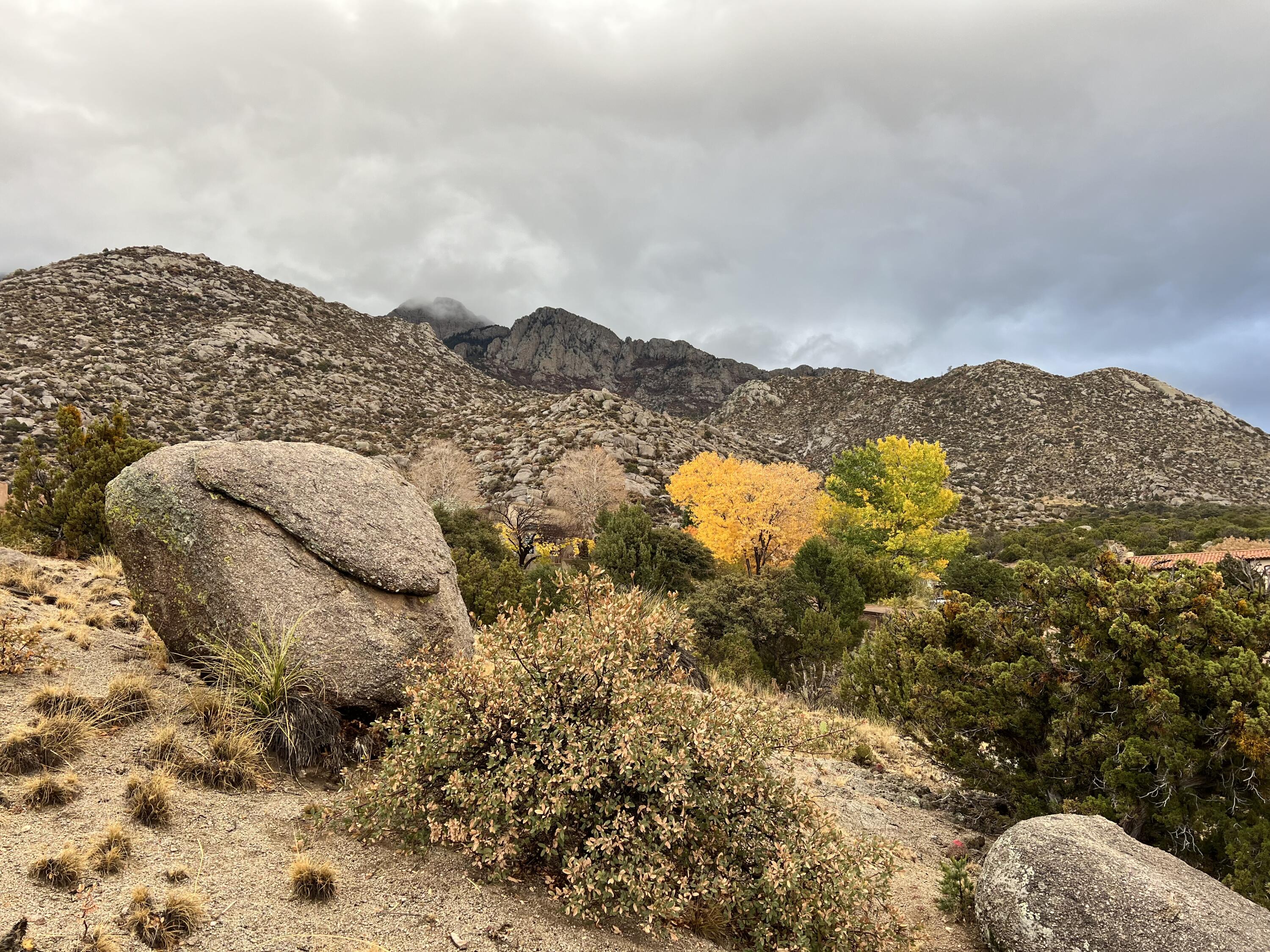 Homes for sale in Albuquerque, NM | 252 Spring Creek Pl Ne, Albuquerque, NM 87122 | MLS# 1089589