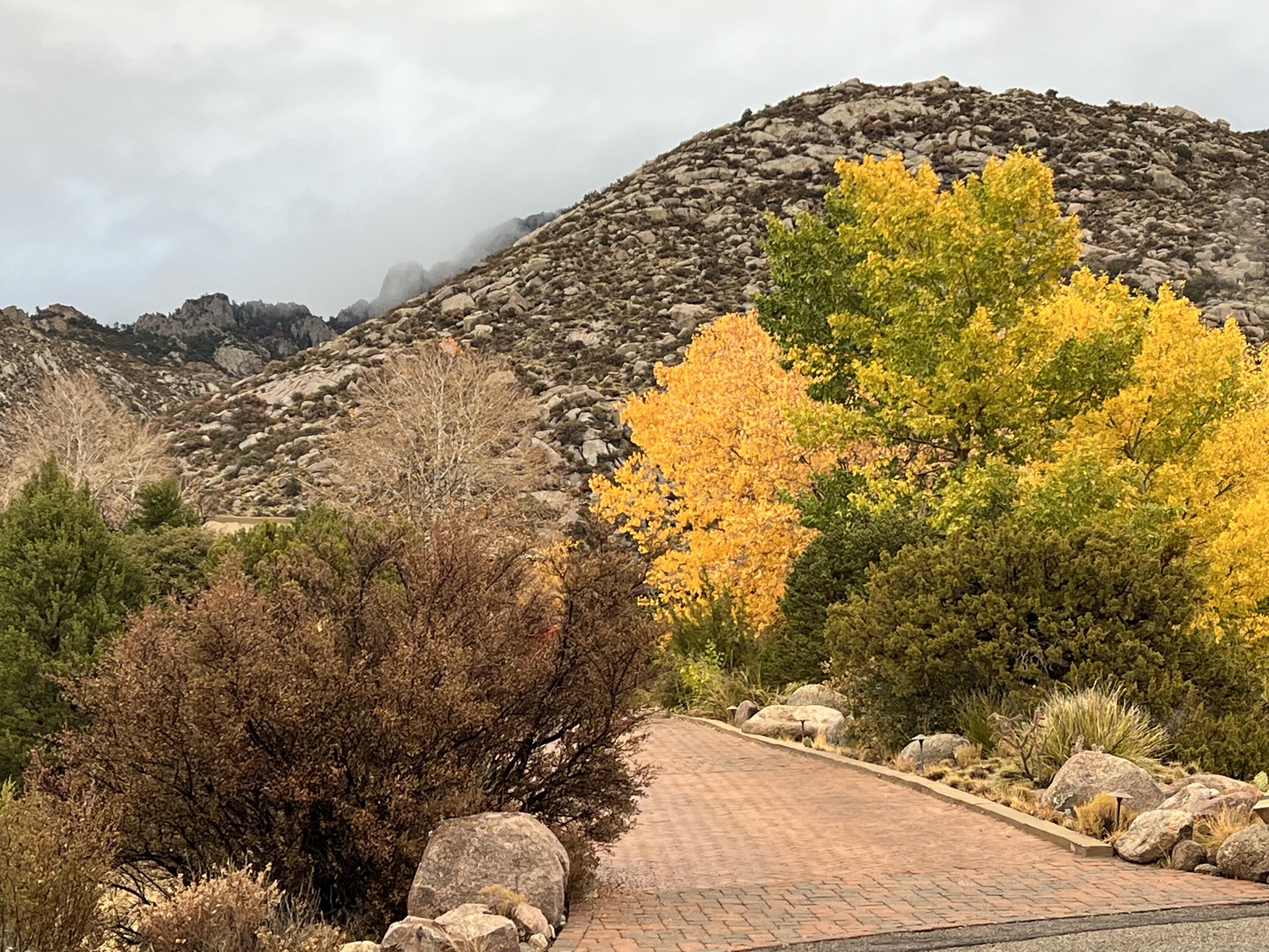 Homes for sale in Albuquerque, NM | 252 Spring Creek Pl Ne, Albuquerque, NM 87122 | MLS# 1089589