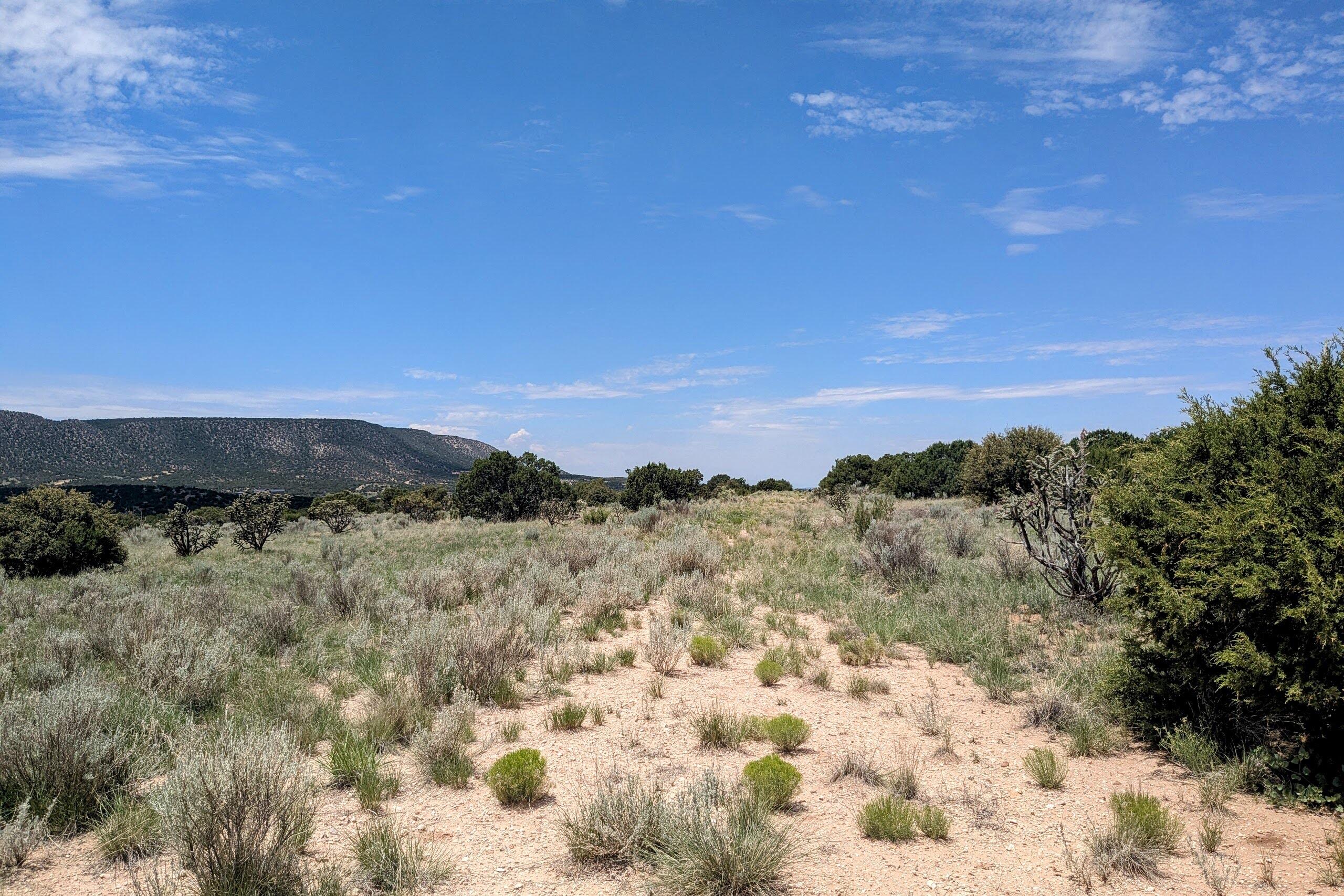 Homes for sale in Mountainair, NM | 1418 Jumano Trl, Mountainair, NM 87036 | MLS# 1089597