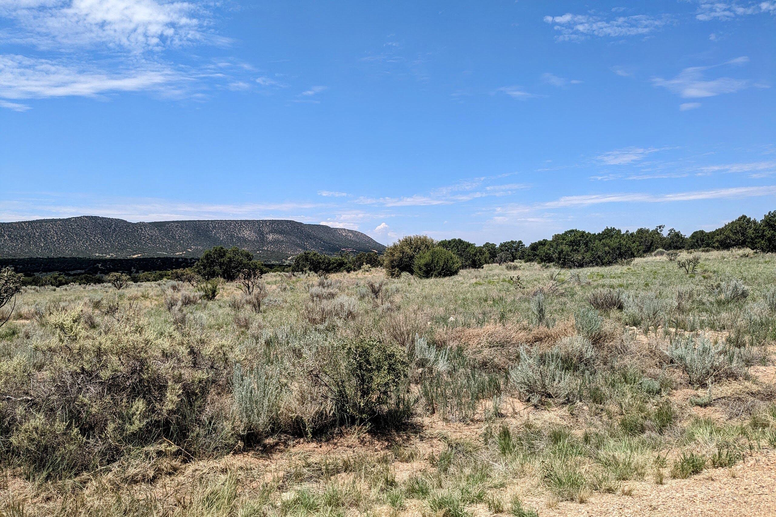 Homes for sale in Mountainair, NM | 1418 Jumano Trl, Mountainair, NM 87036 | MLS# 1089597