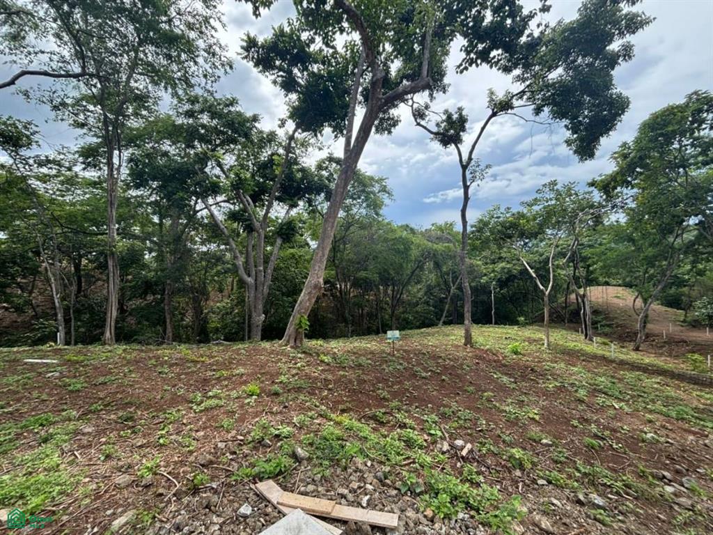 0 bed Land For Sale in Santa Cruz, Guanacaste - 1