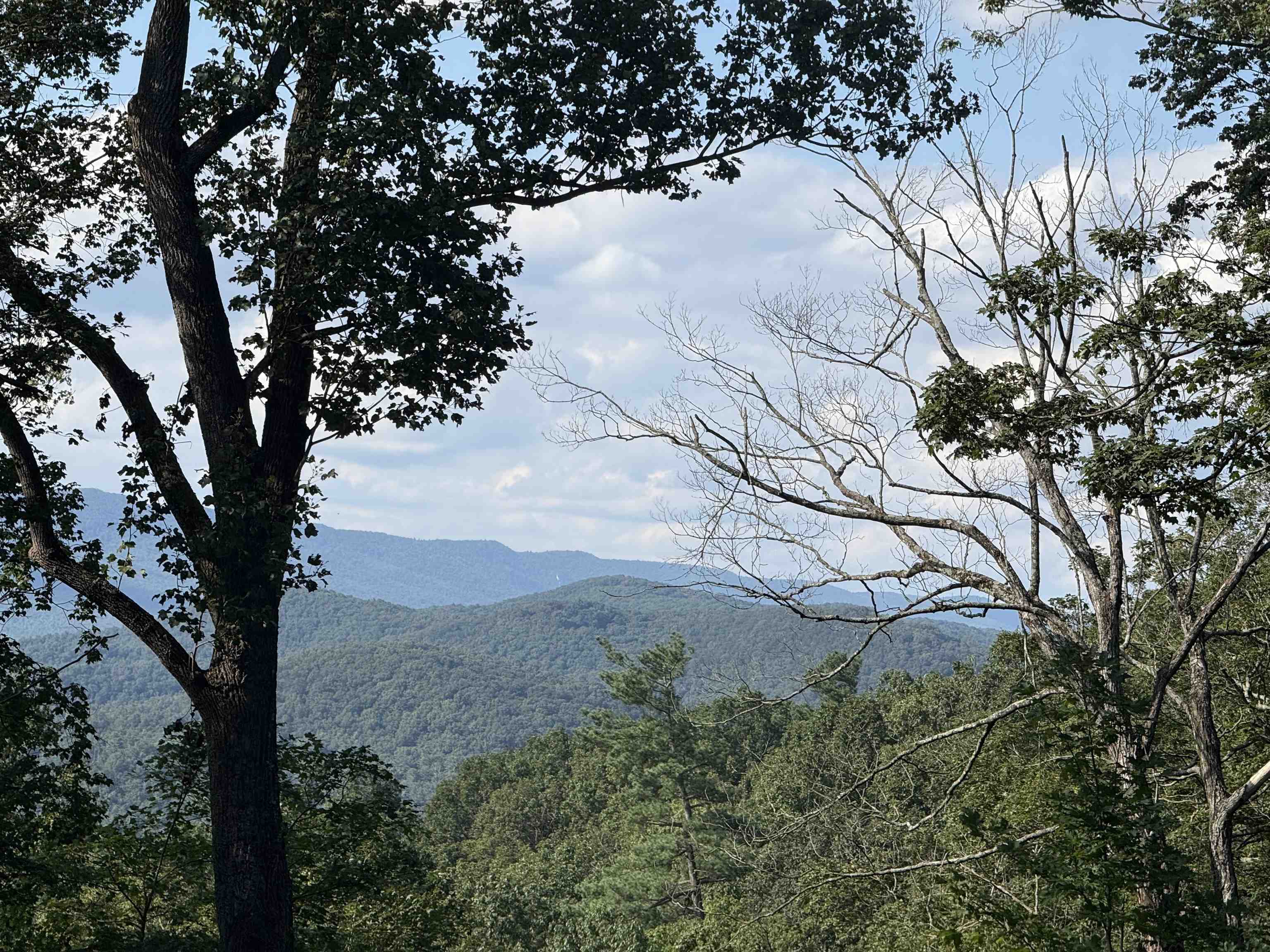 198 acres RUNIONS CREEK RD exterior