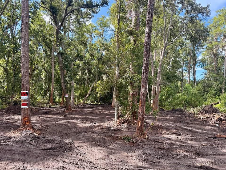 Homes for sale in Tampa, FL | 0 Anno St, Tampa, FL 33625 | MLS# F10520476