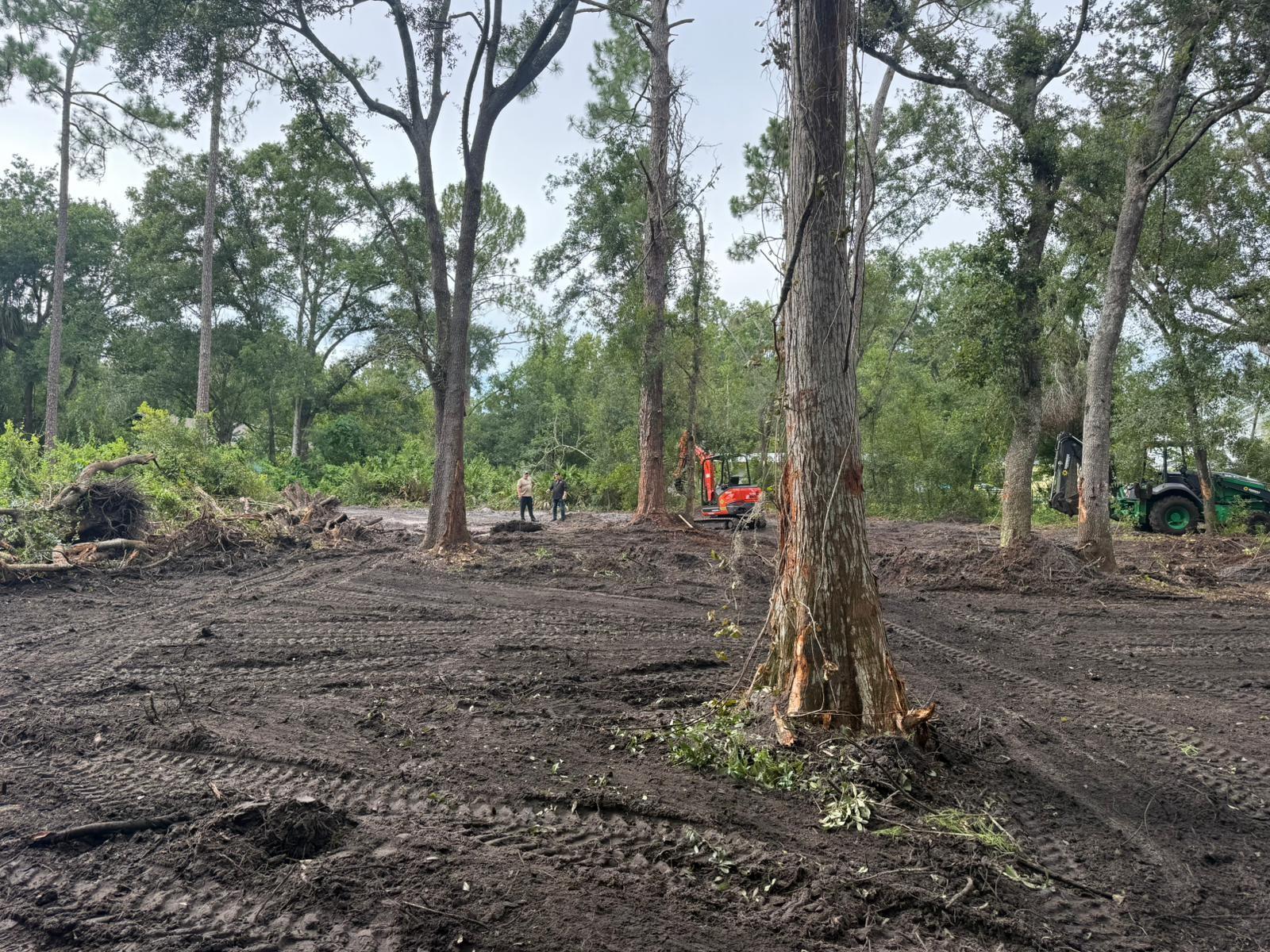 Homes for sale in Tampa, FL | 0 Anno St, Tampa, FL 33625 | MLS# F10520476