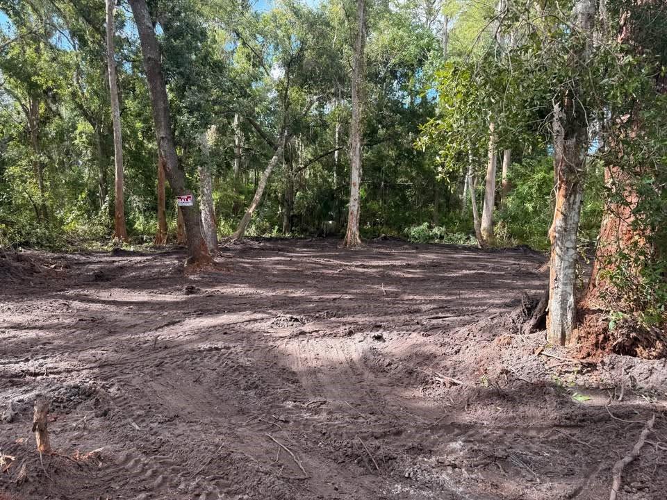 Homes for sale in Tampa, FL | 0 Anno St, Tampa, FL 33625 | MLS# F10520476