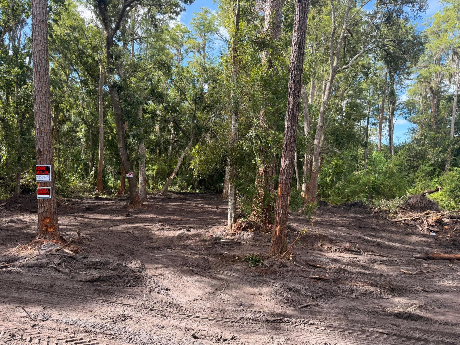 Homes for sale in Tampa, FL | 0 Anno St, Tampa, FL 33625 | MLS# F10520476