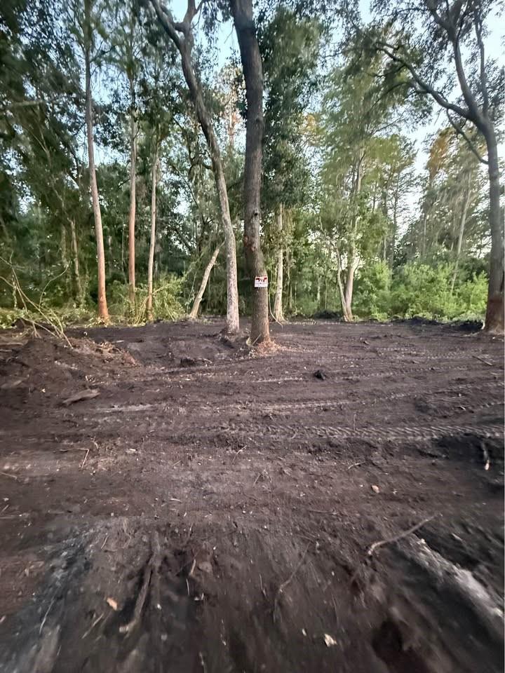 Homes for sale in Tampa, FL | 0 Anno St, Tampa, FL 33625 | MLS# F10520476