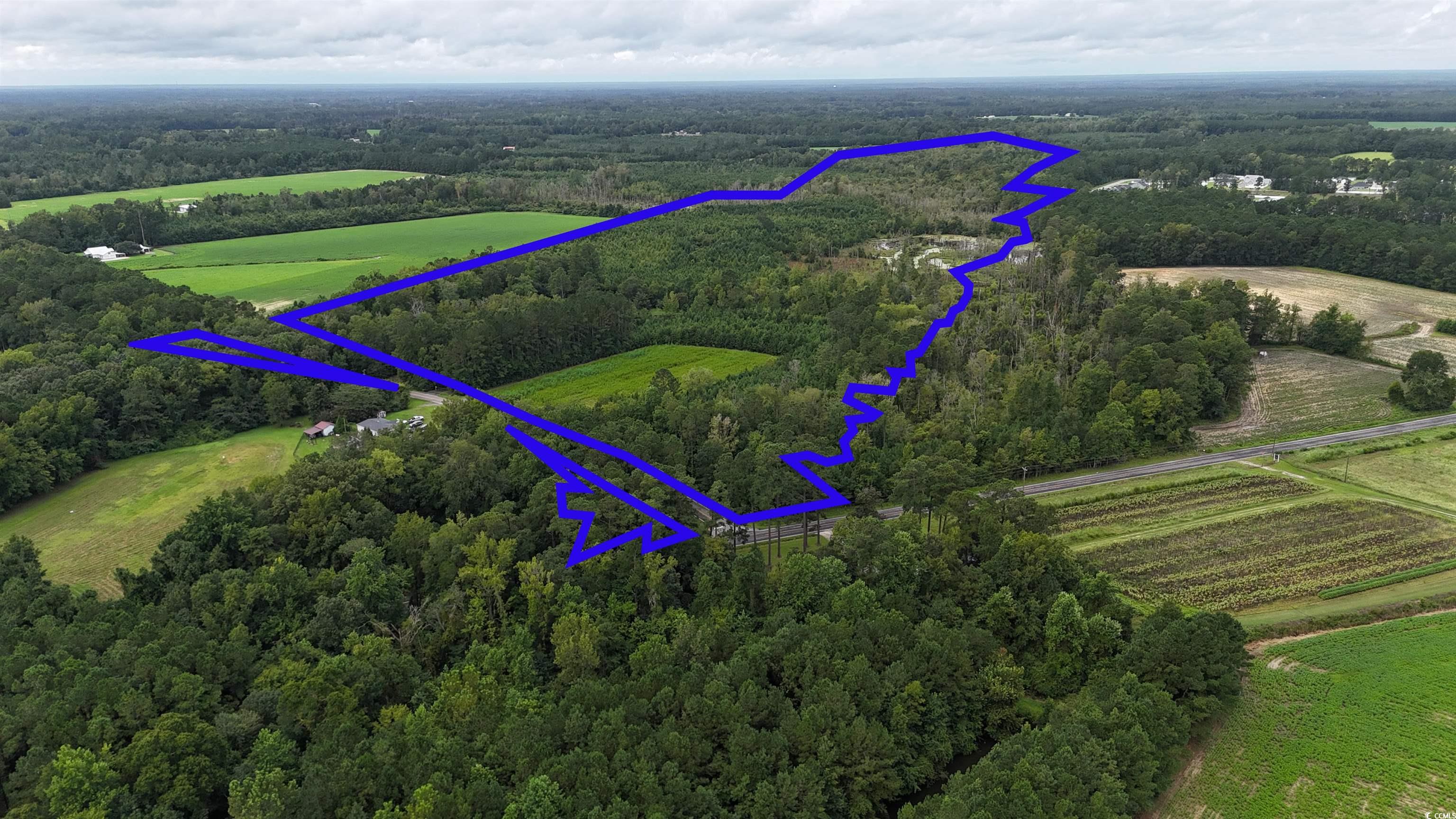 1237 Spring Garden Rd. Conway, SC 29527