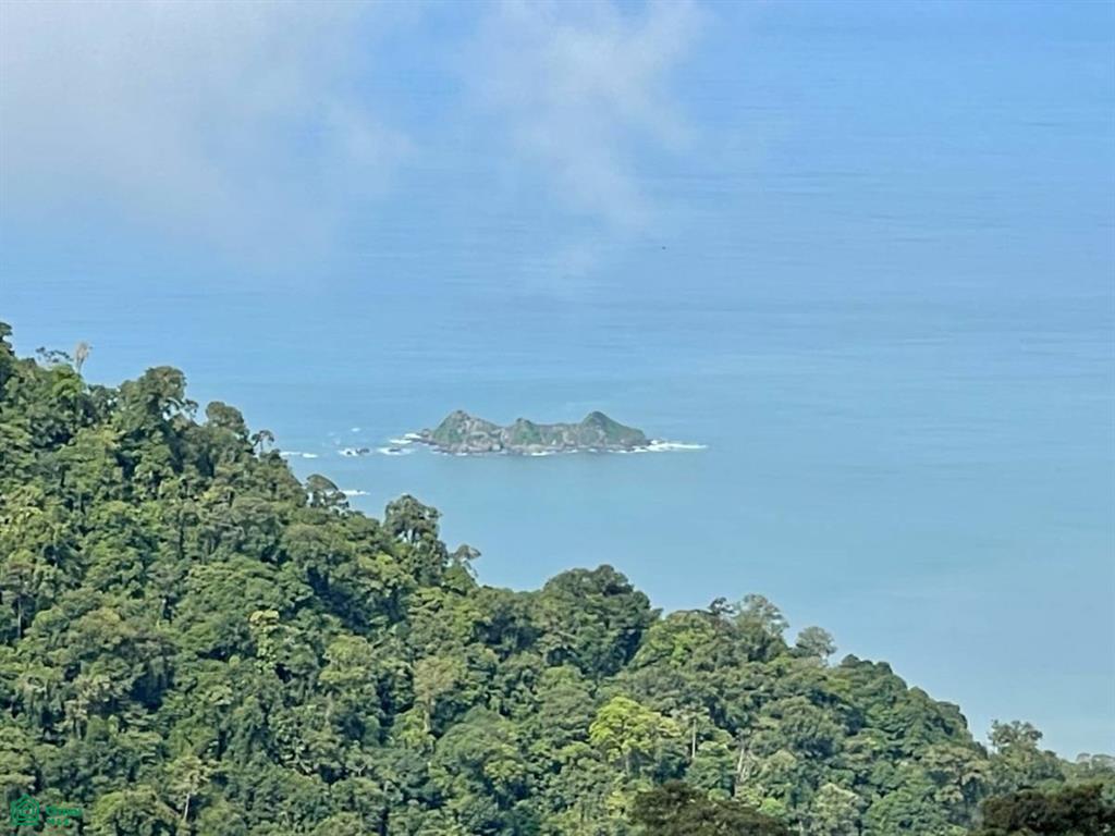 0 bed Land For Sale in Osa, Puntarenas - 1