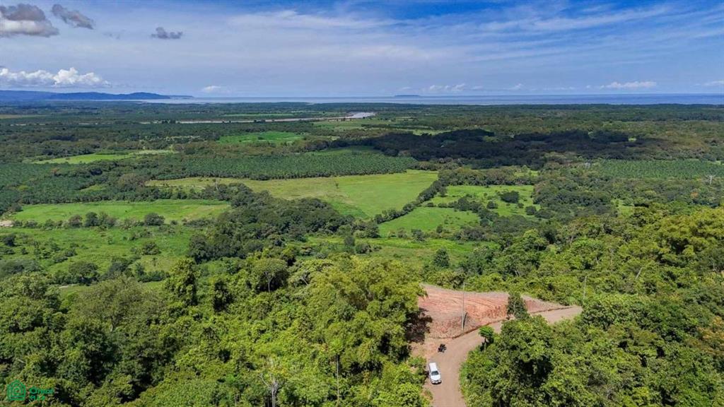 0 bed Land For Sale in Osa, Puntarenas - 1