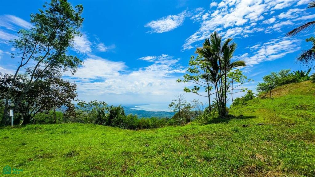 0 bed Land For Sale in Osa, Puntarenas - 1