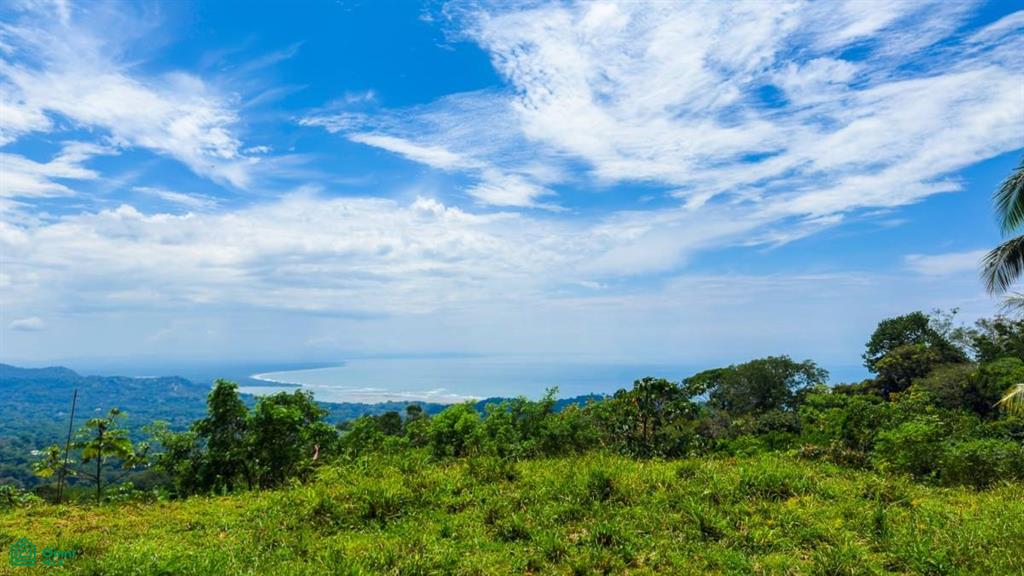 0 bed Land For Sale in Osa, Puntarenas - 1
