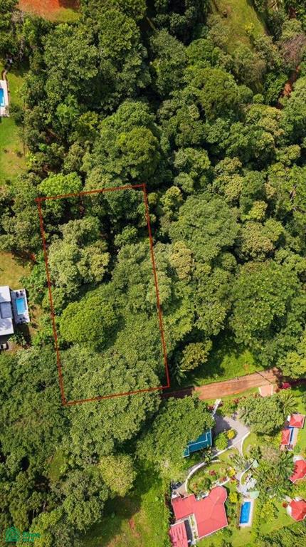 0 bed Land For Sale in Osa, Puntarenas - 1