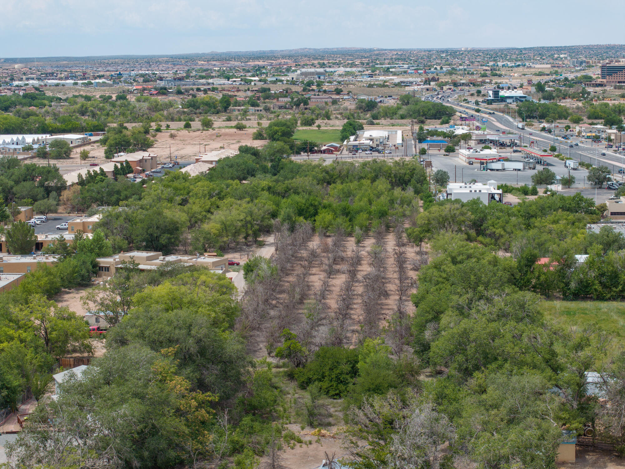 Photo 8 — 127 S CAMINO DEL PUEBLO