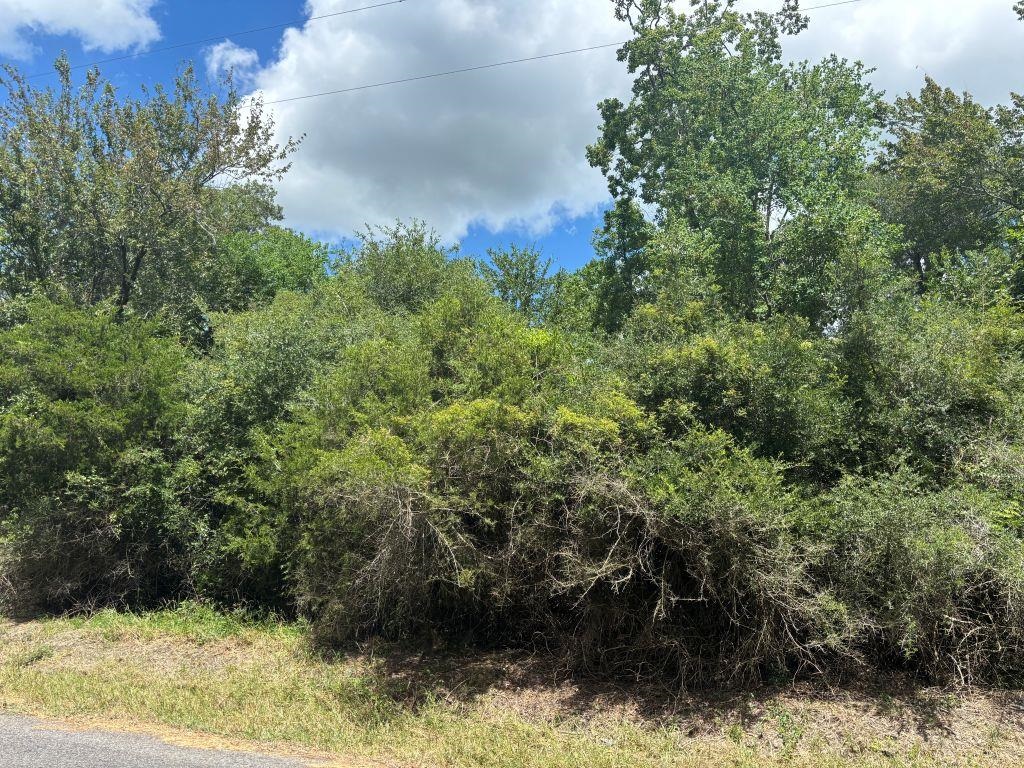 0 J Jardell Road — photo 3