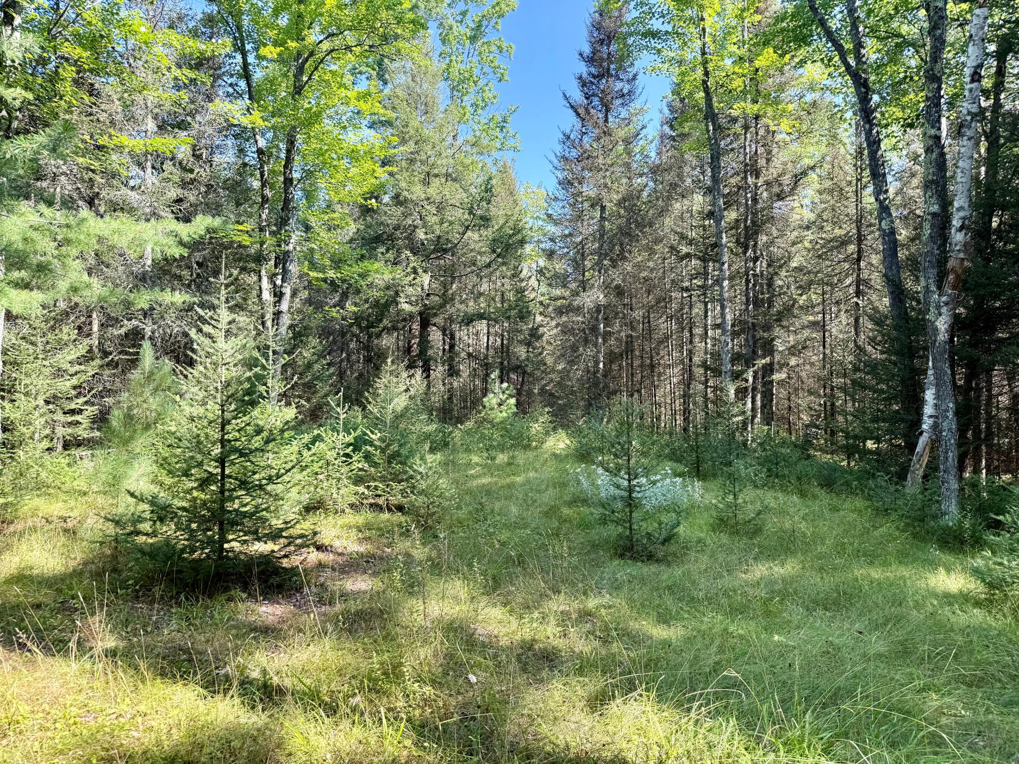 South Twin Lake Property 6039 Twin Lakes Dr Photo 10