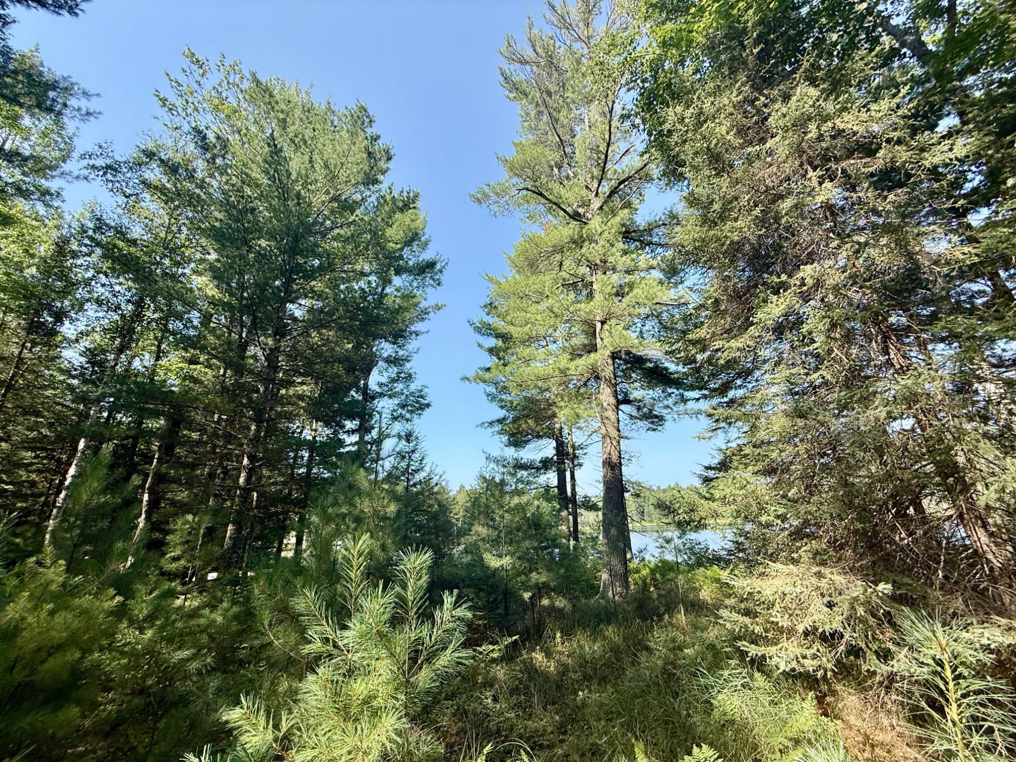 South Twin Lake Property 6039 Twin Lakes Dr Photo 16