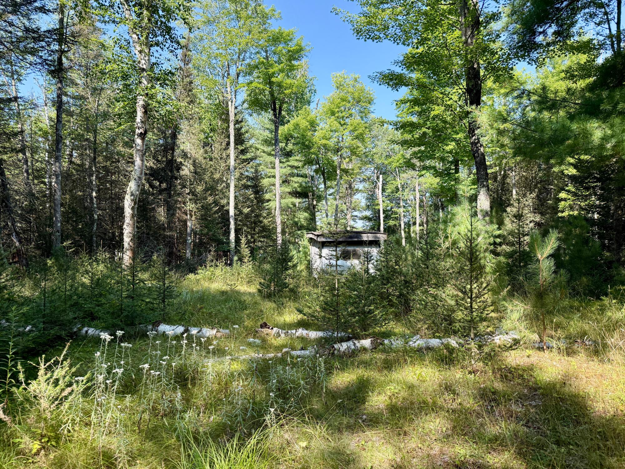 South Twin Lake Property 6039 Twin Lakes Dr Photo 17