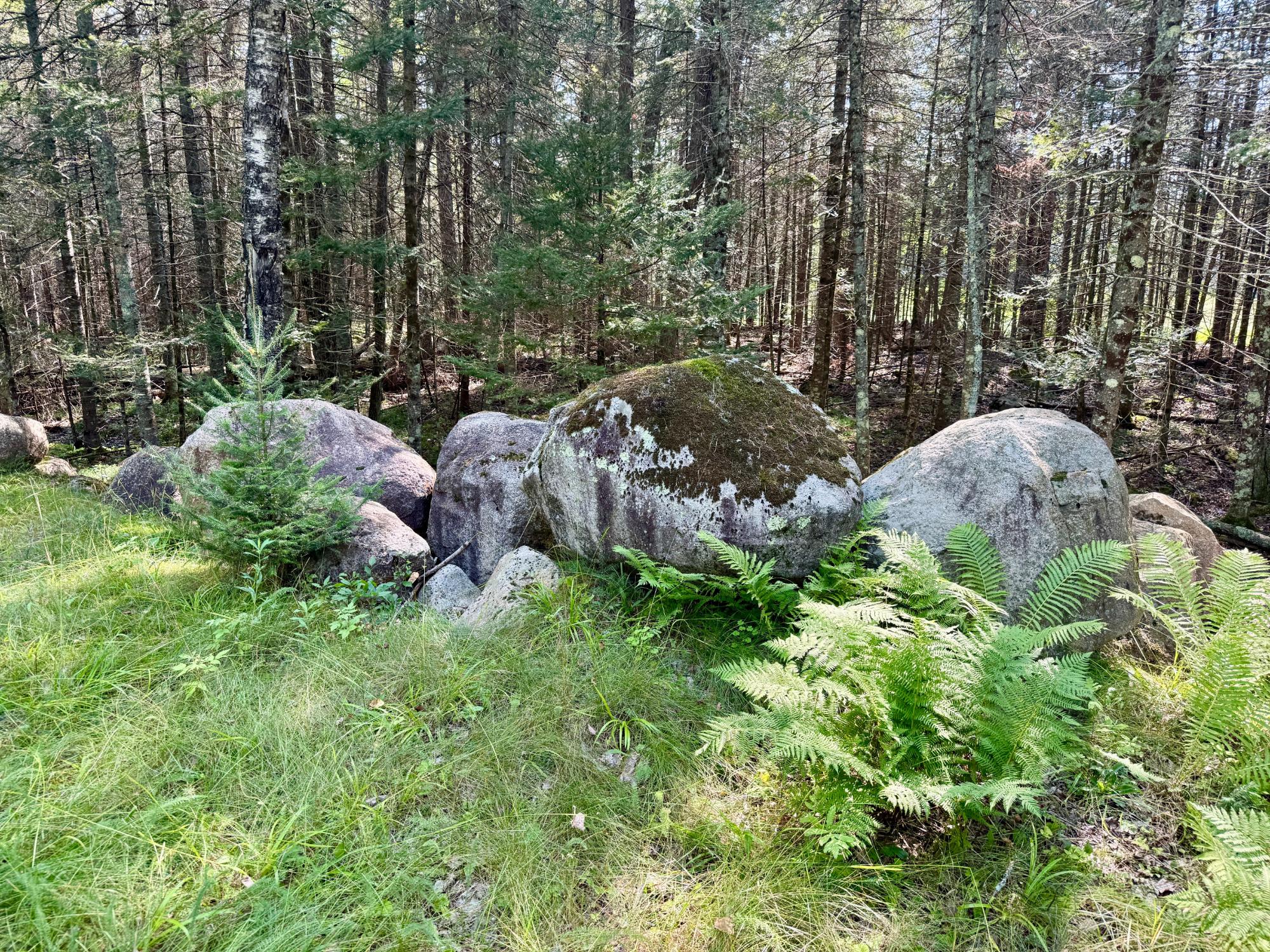 South Twin Lake Property 6039 Twin Lakes Dr Photo 24