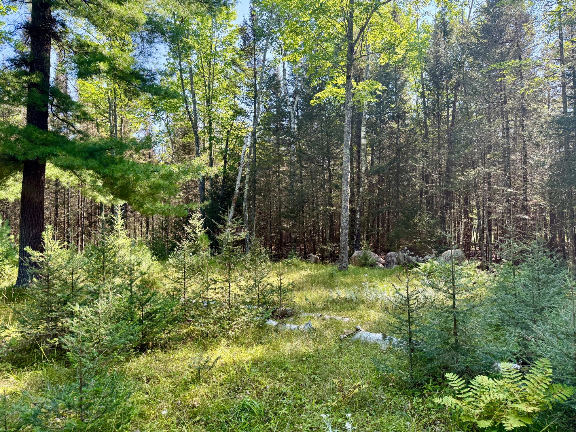 South Twin Lake Property 6039 Twin Lakes Dr Photo 25