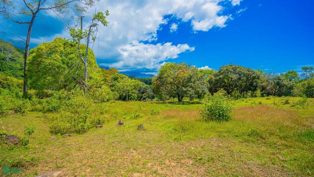 0 bed Land For Sale in Osa, Puntarenas - 1