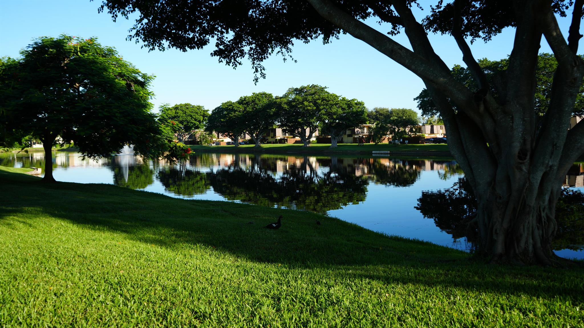 Homes for sale in Palm Springs, FL | 622 Springdale Circle, Palm Springs, FL 33461 | MLS# R11116397