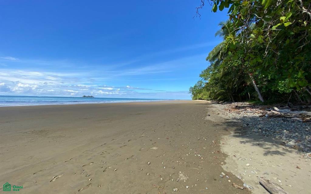 0 bed Land For Sale in Osa, Puntarenas - 1