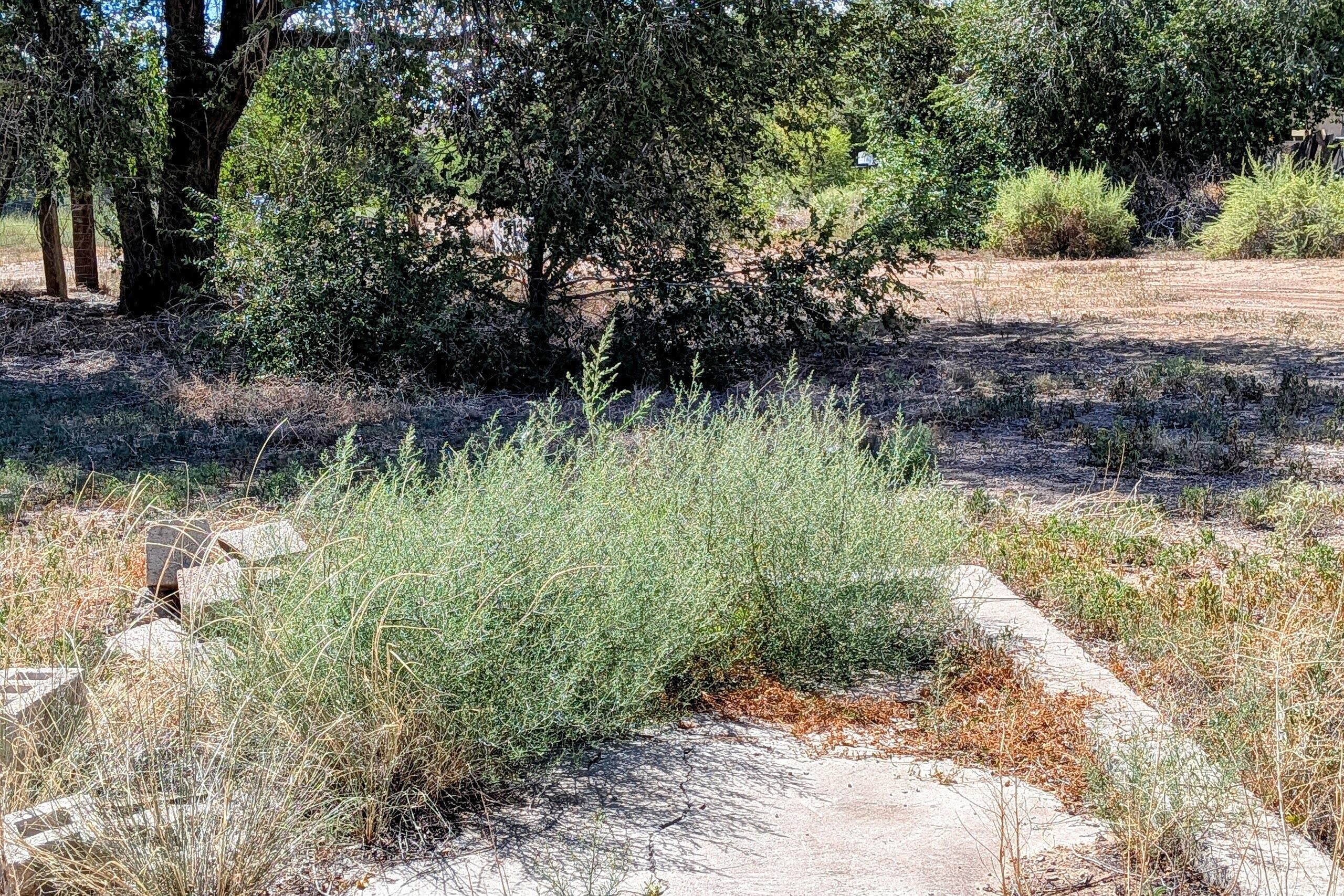 Homes for sale in Belen, NM | 1129 S Main St, Belen, NM 87002 | MLS# 1089890