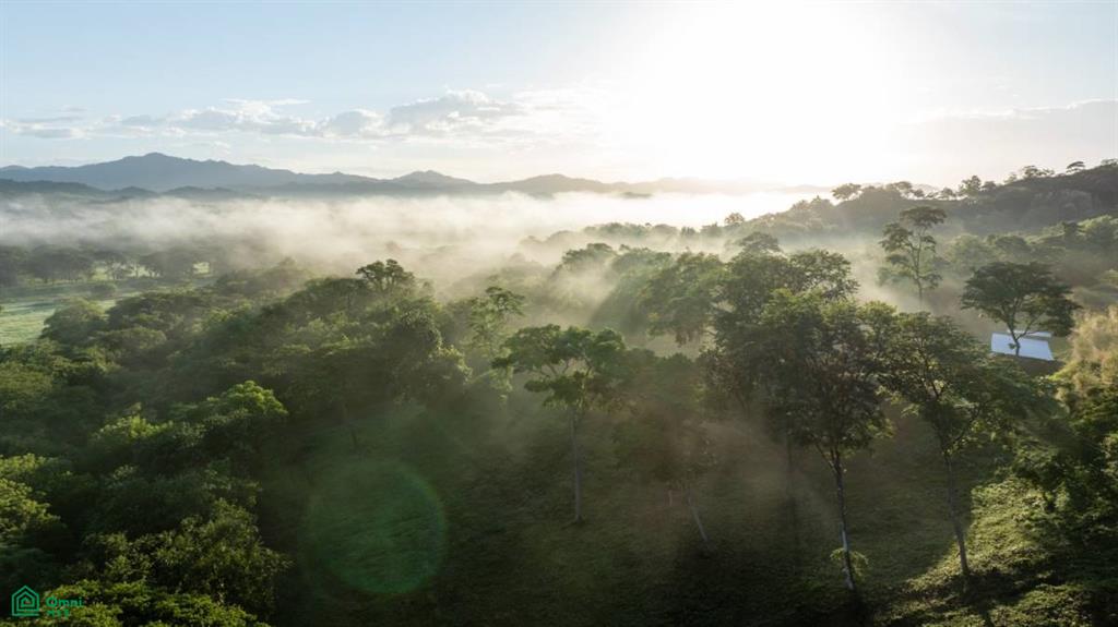 1 bed Land For Sale in Santa Cruz, Guanacaste - 1