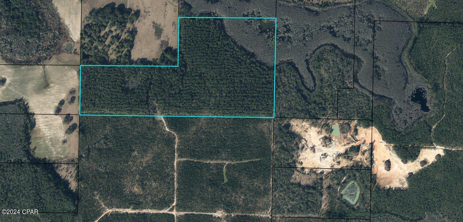 Listing Details for Tbd Douglas Ferry Road, Vernon, FL 32462