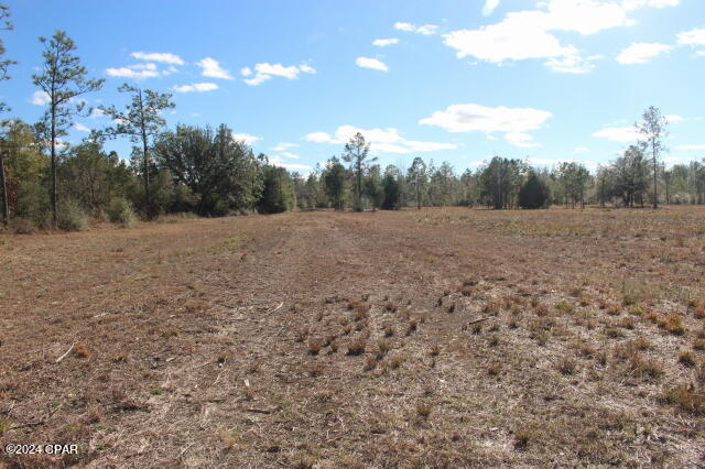 Image 13 For 5015 County Road 274