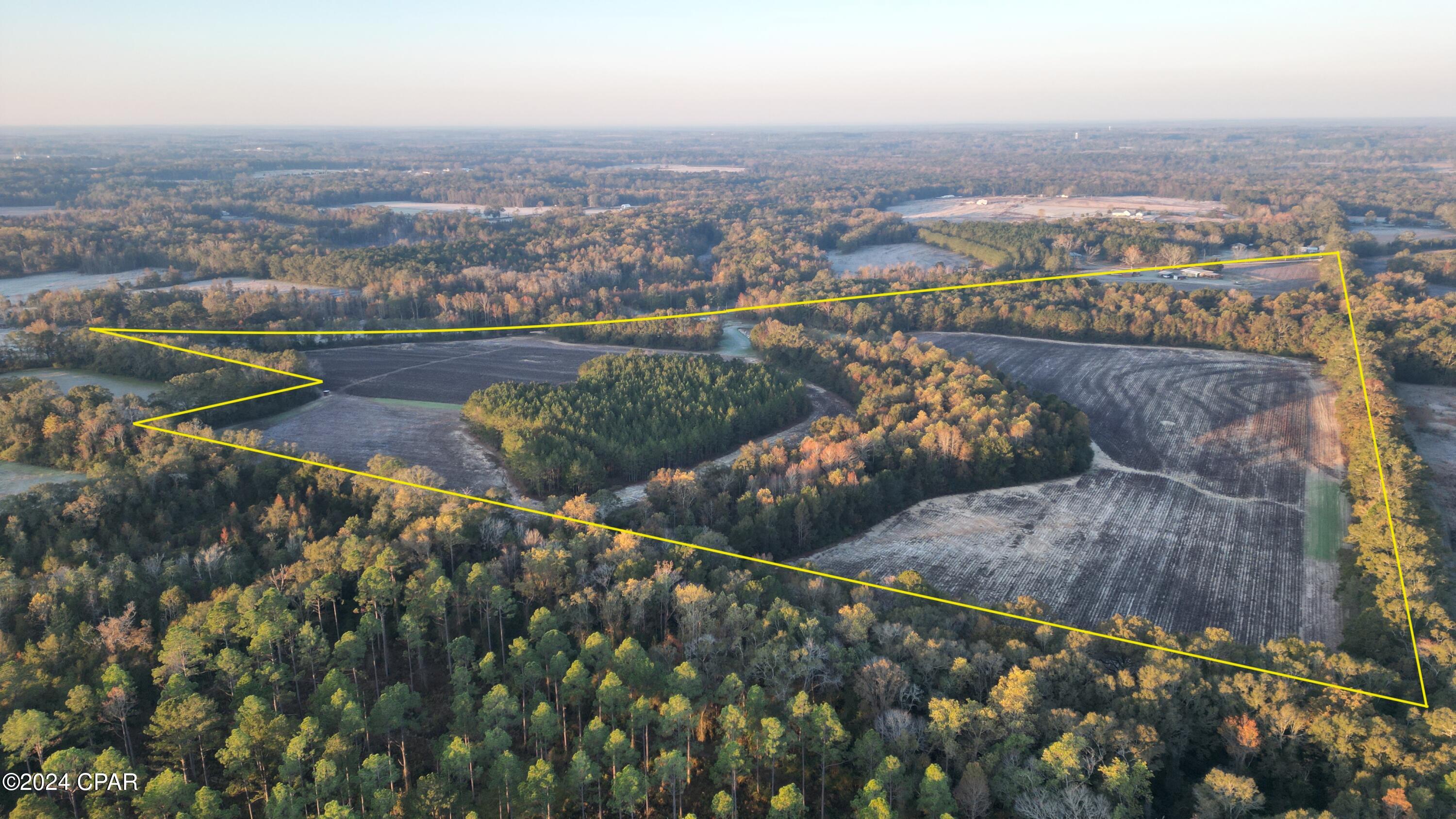 Image 4 For 1007 Whitaker Road