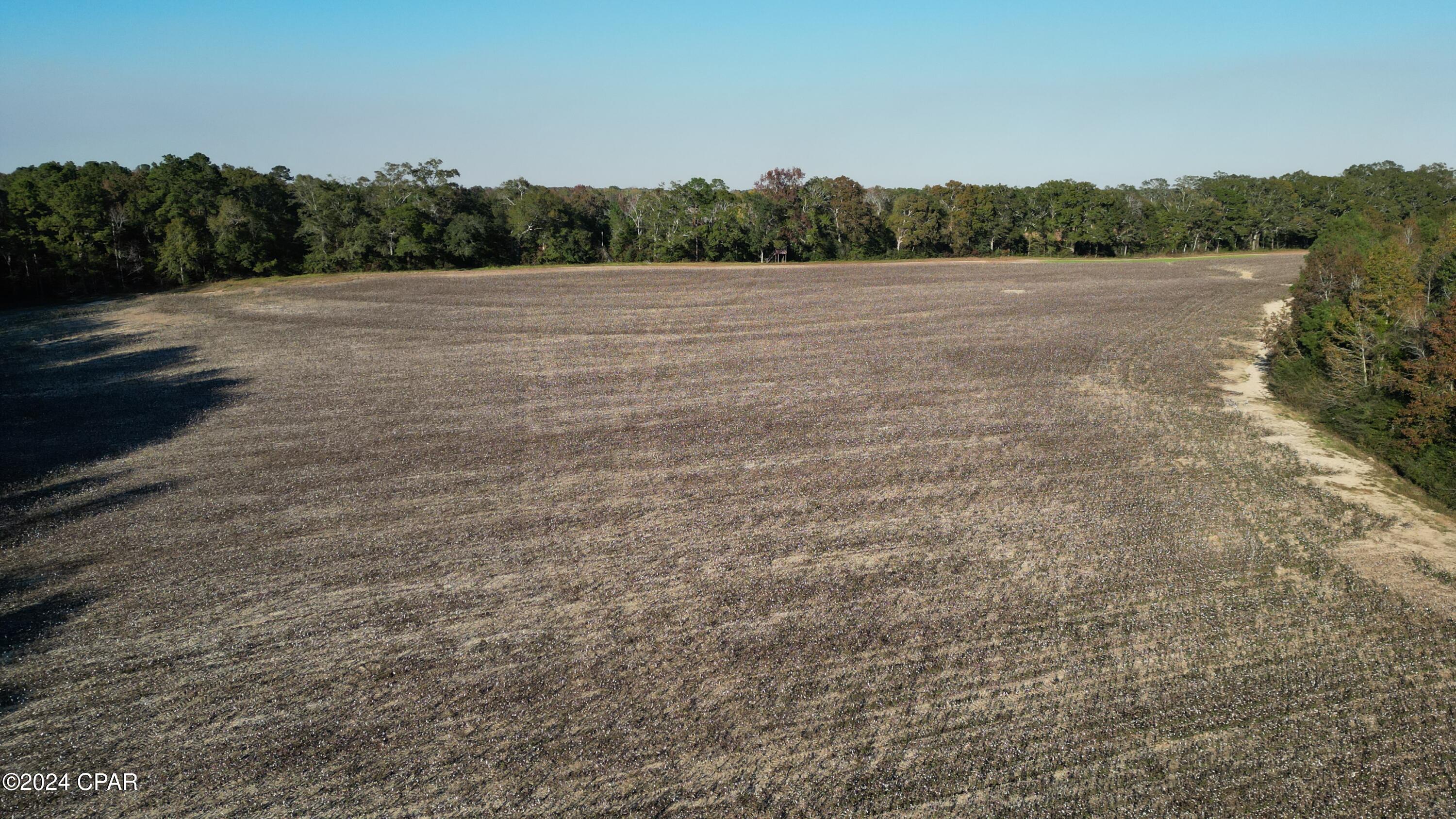 Image 53 For 1007 Whitaker Road