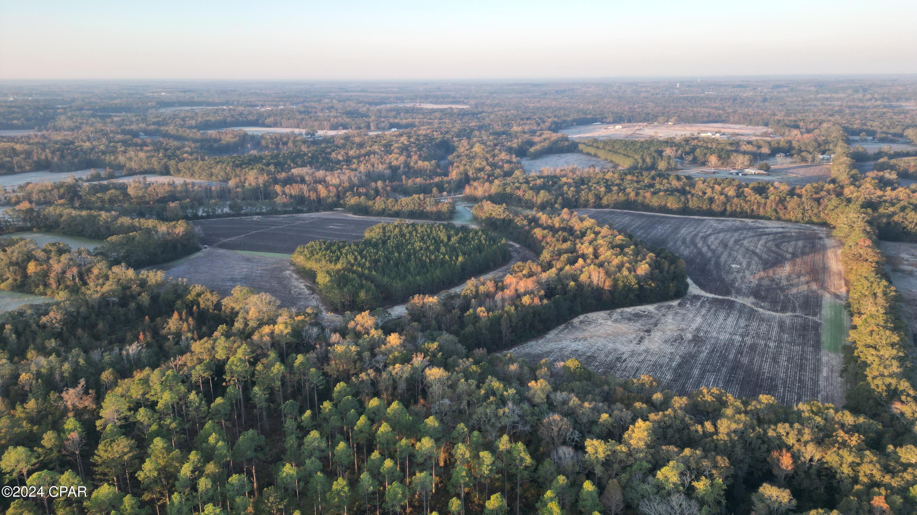 Image 54 For 1007 Whitaker Road