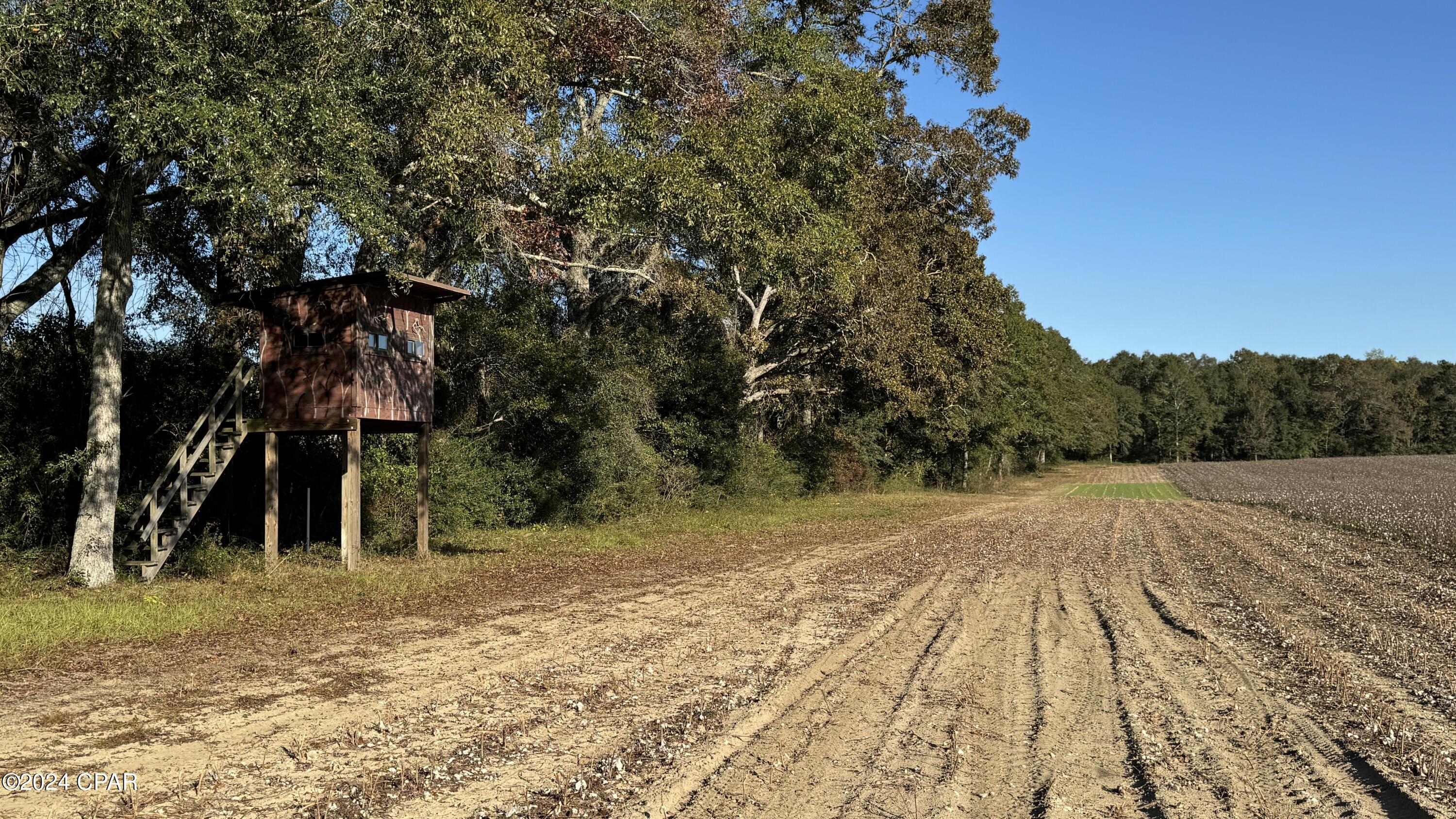 Image 55 For 1007 Whitaker Road