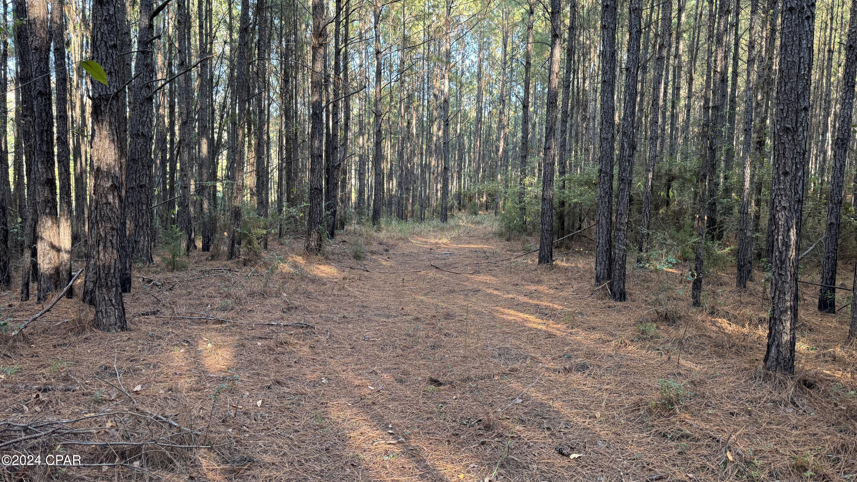 Image 56 For 1007 Whitaker Road