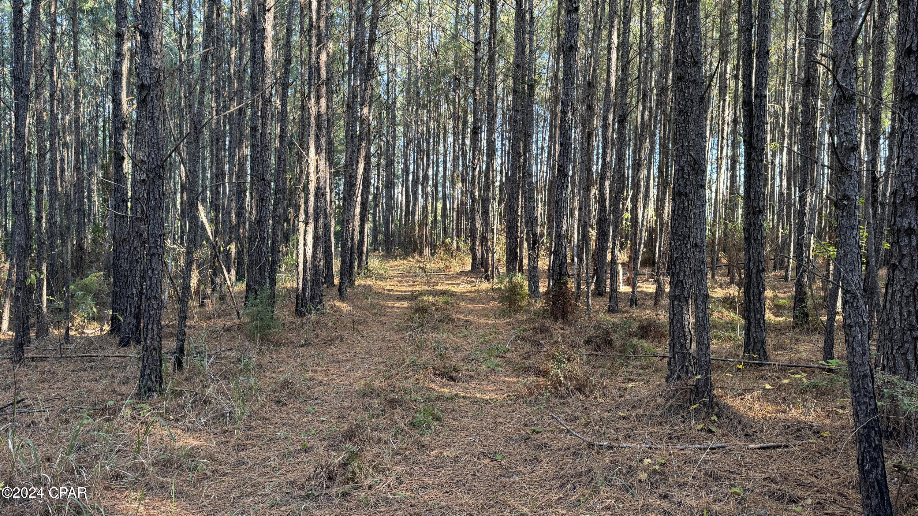 Image 57 For 1007 Whitaker Road