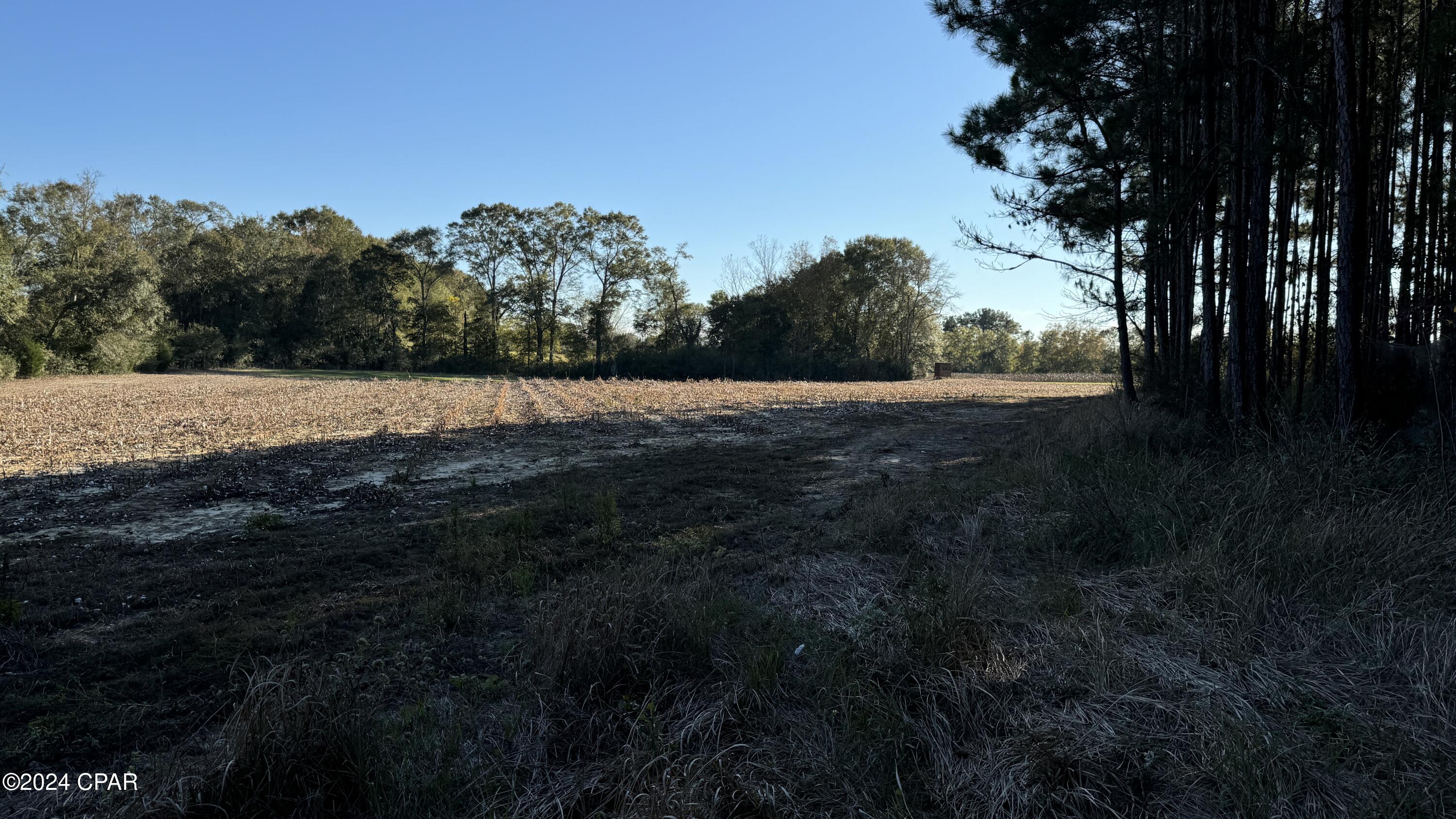 Image 58 For 1007 Whitaker Road