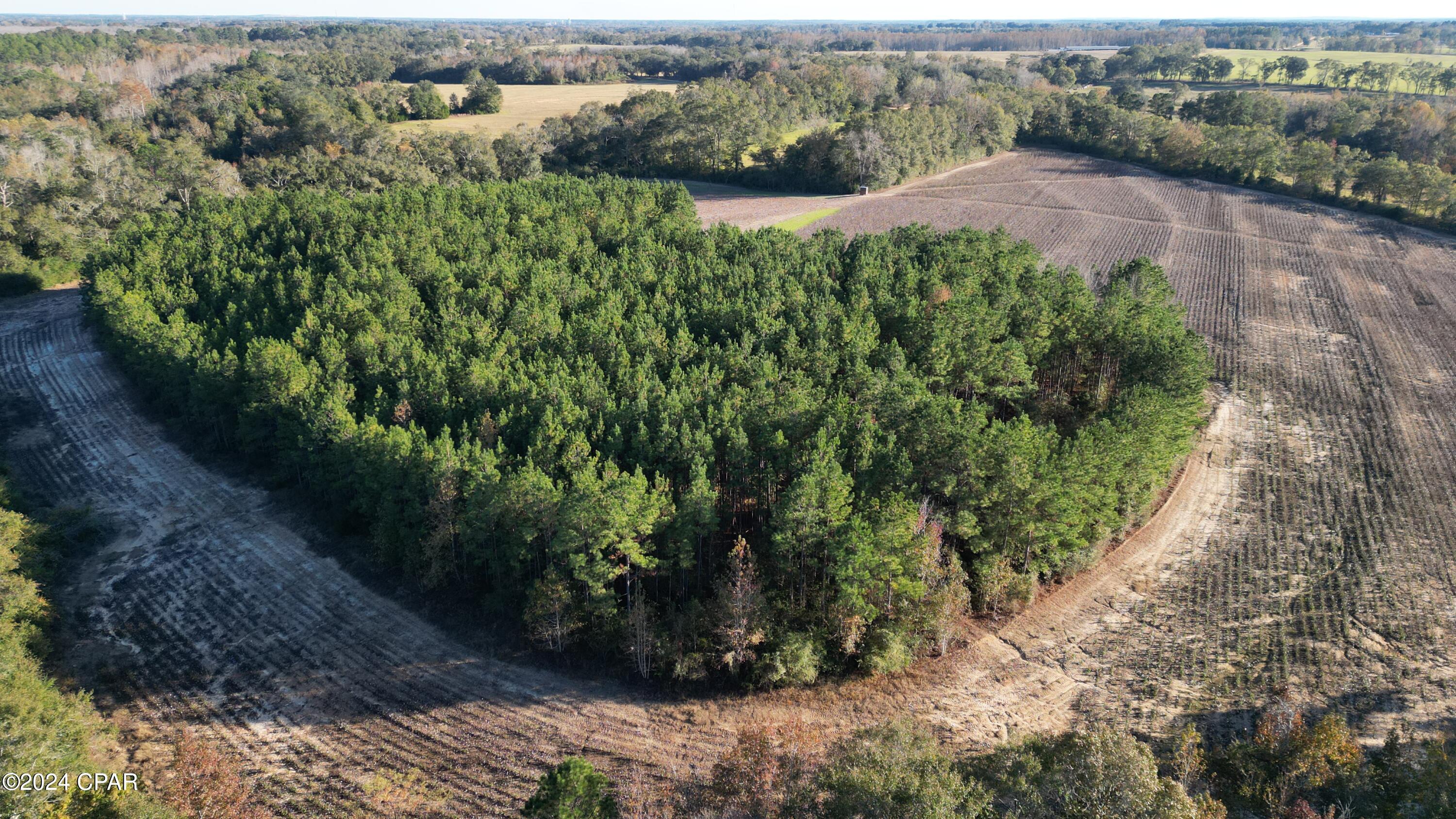 Image 6 For 1007 Whitaker Road