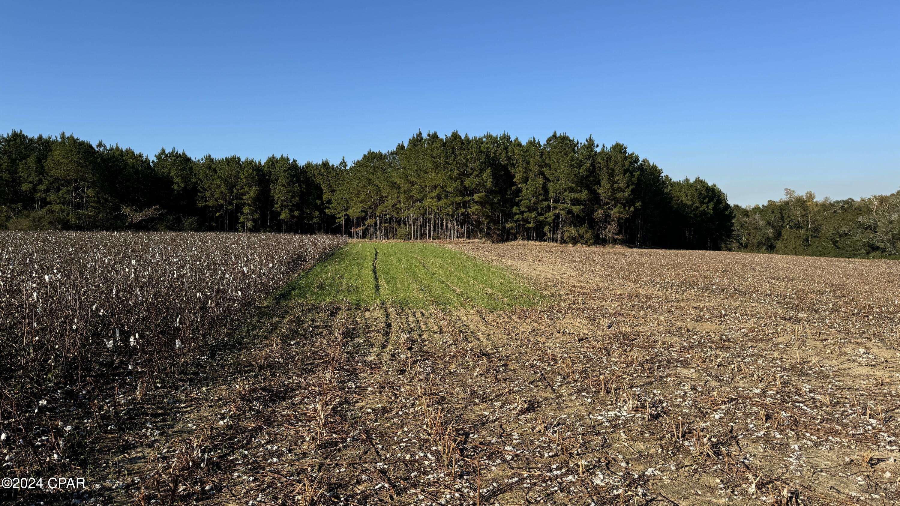 Image 60 For 1007 Whitaker Road