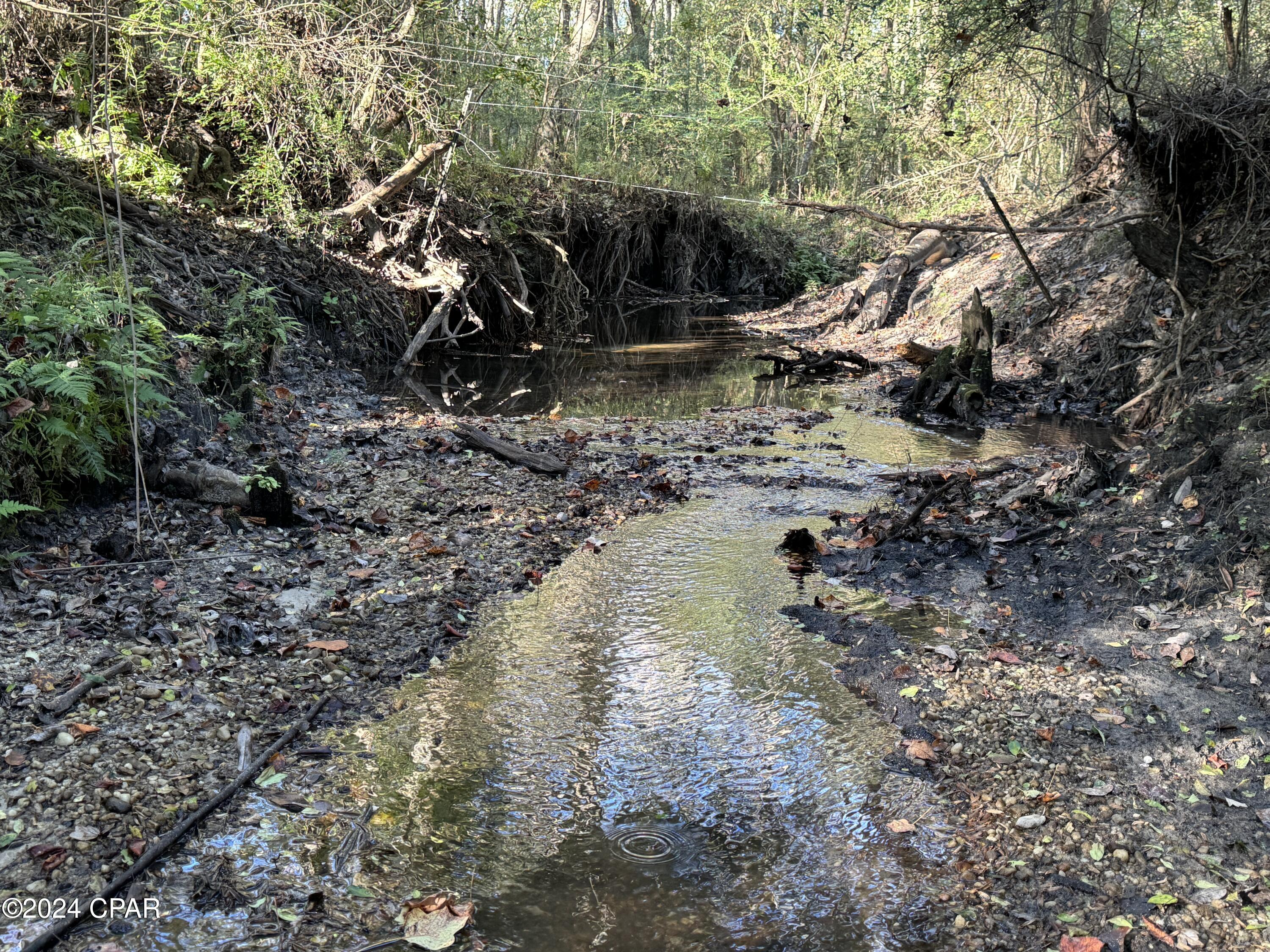 Image 61 For 1007 Whitaker Road