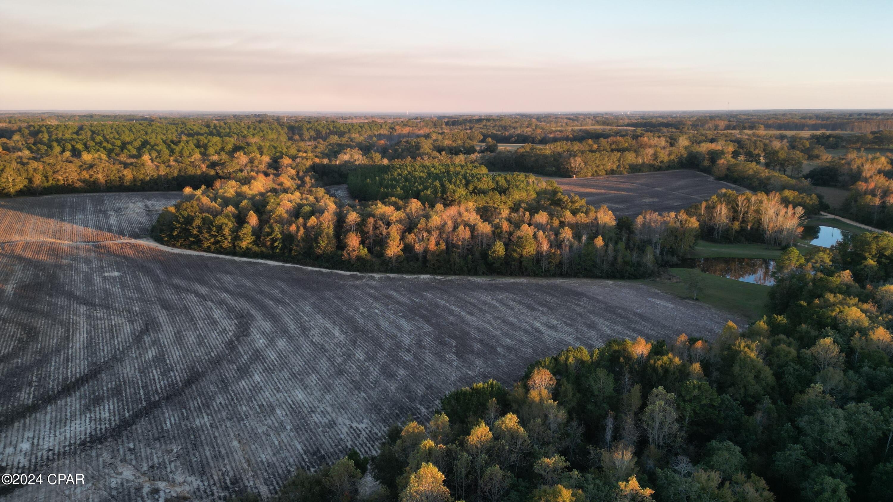 Image 62 For 1007 Whitaker Road