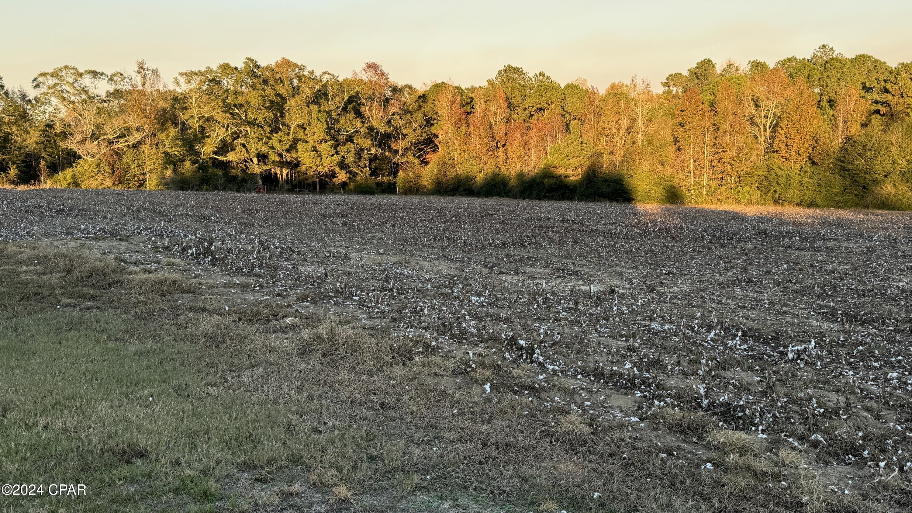 Image 63 For 1007 Whitaker Road