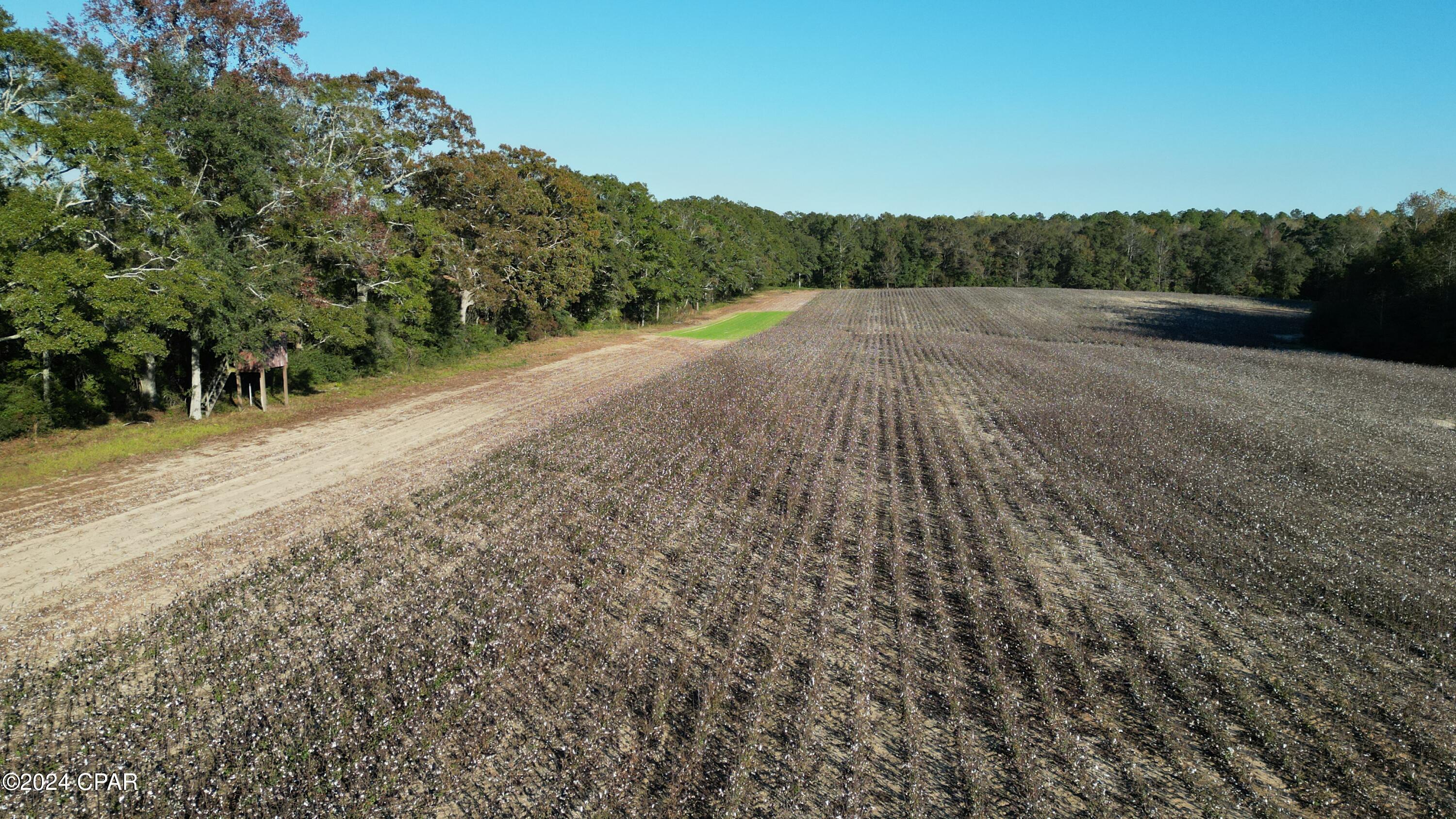 Image 65 For 1007 Whitaker Road